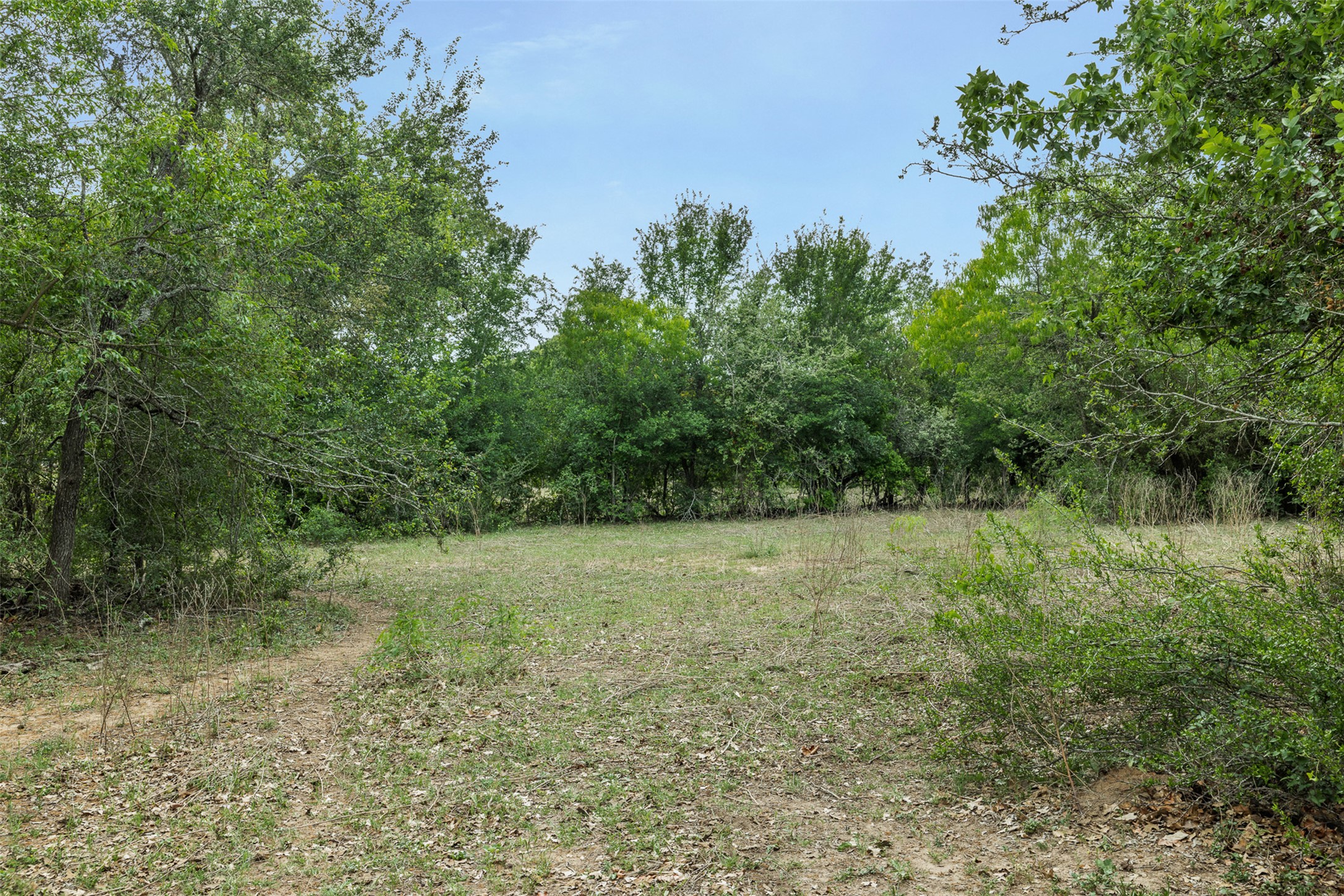 main property photo 38