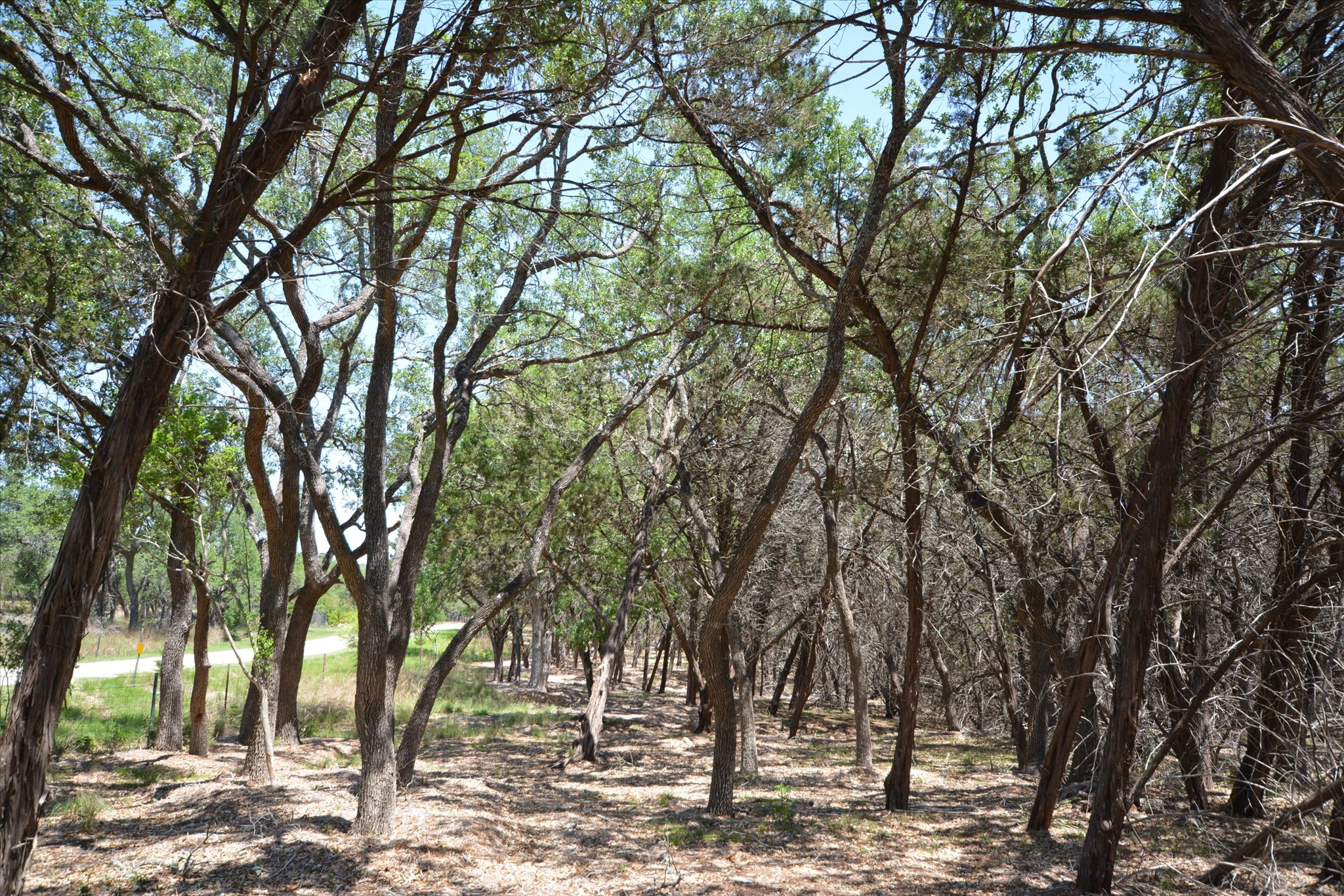 main property photo 10