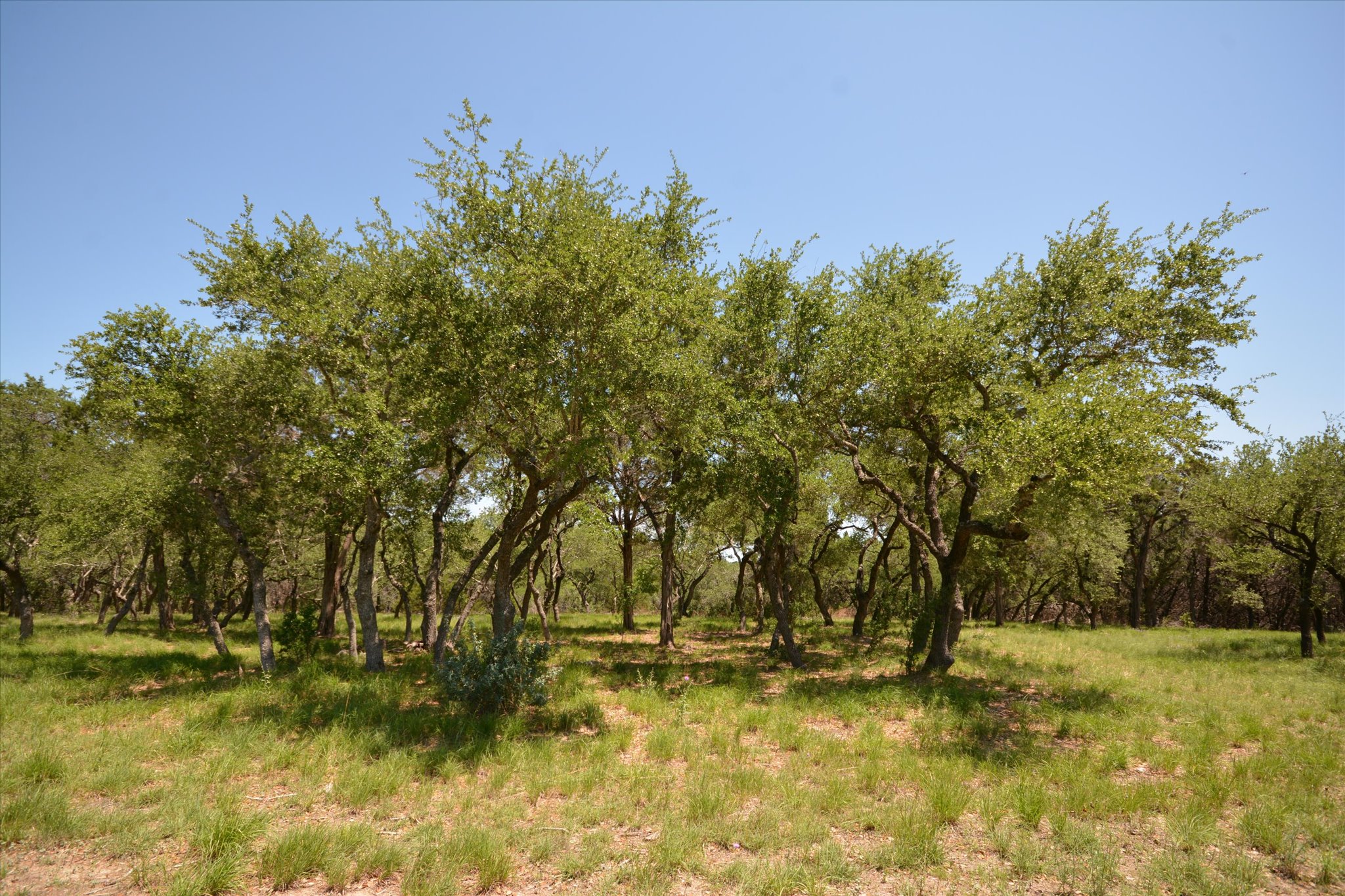 main property photo 13