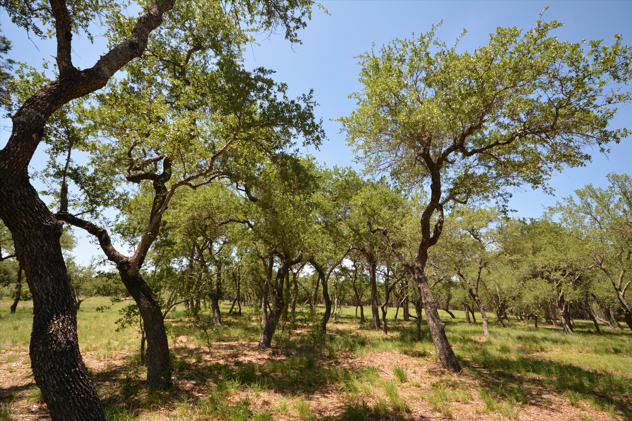 main property photo 15