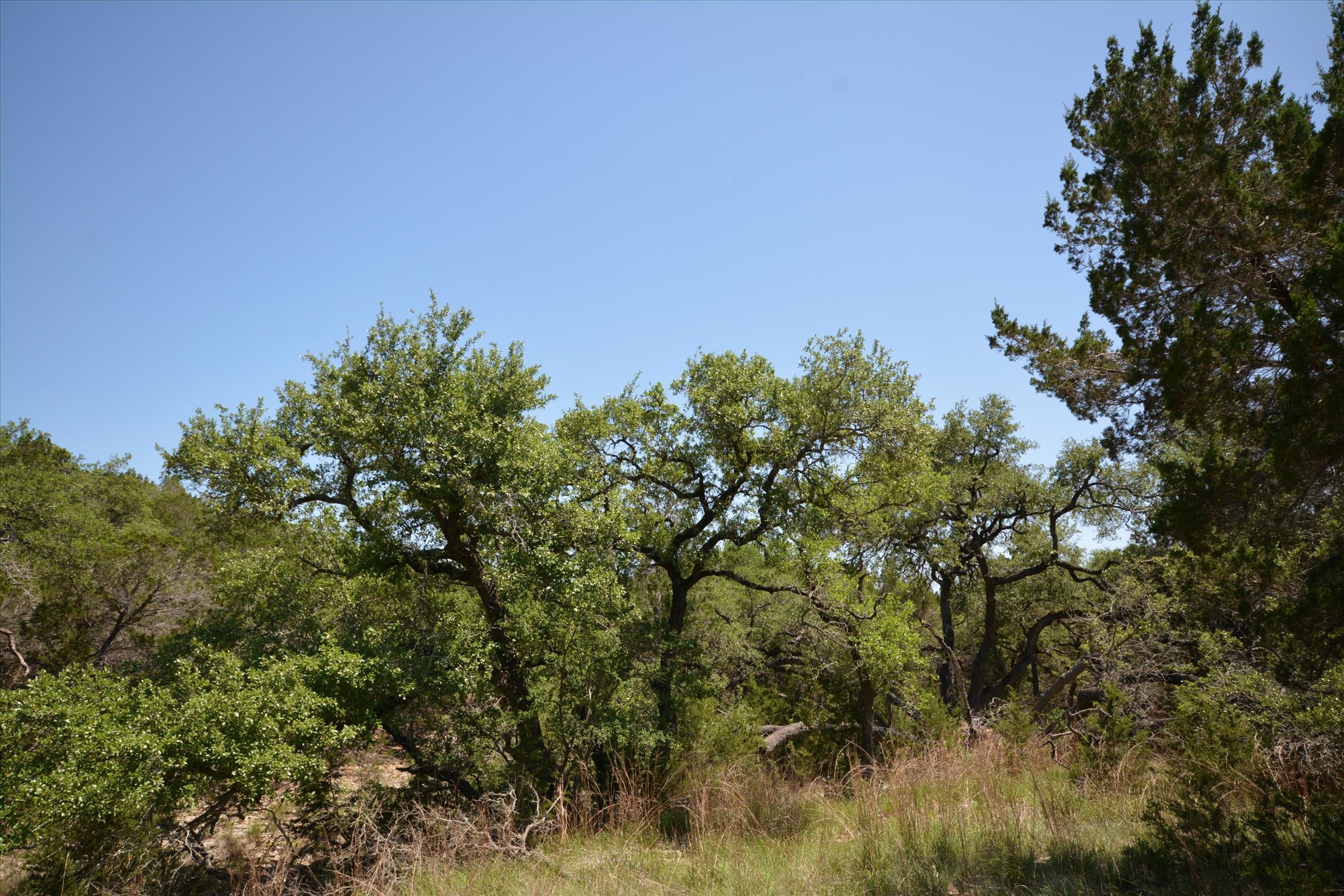 main property photo 16