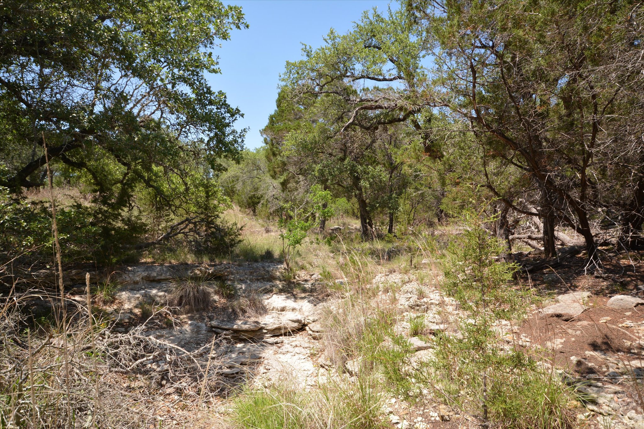 main property photo 17