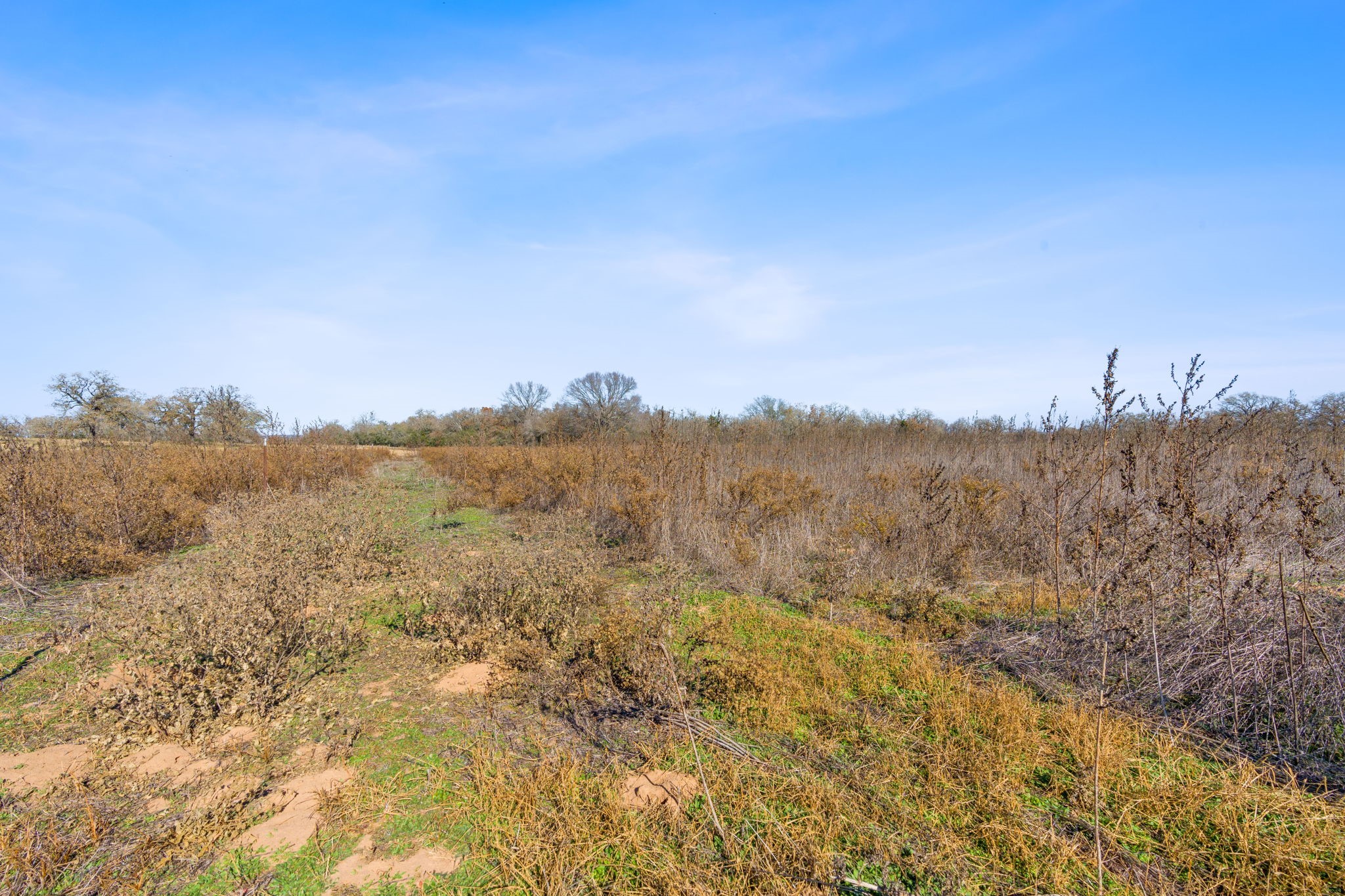 main property photo 16