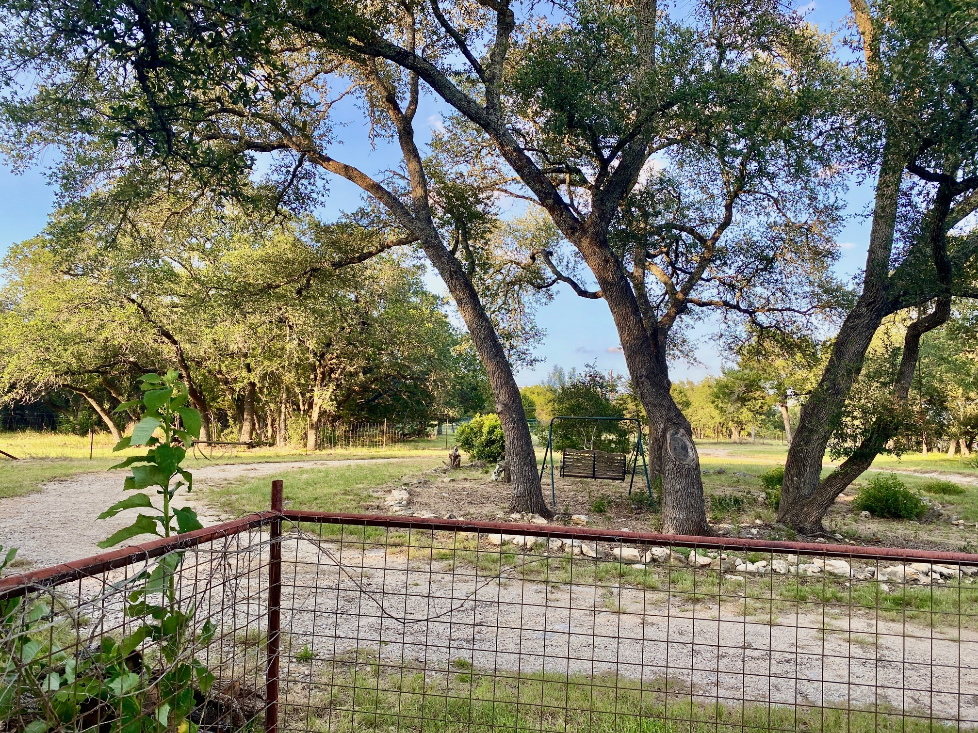 main property photo 33