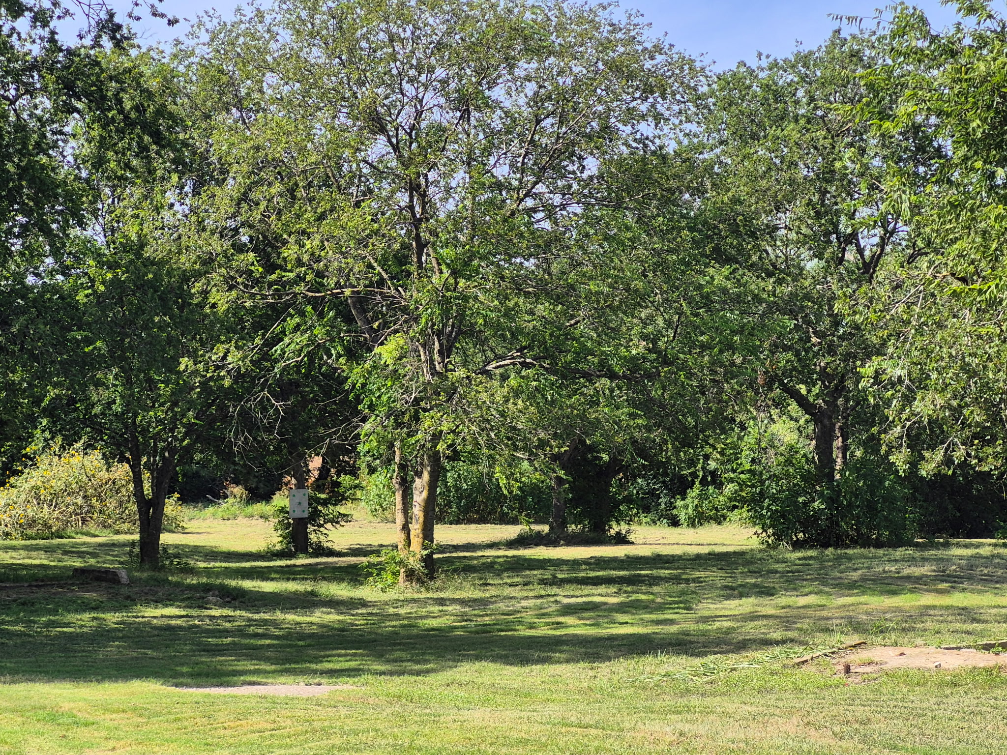 main property photo 10