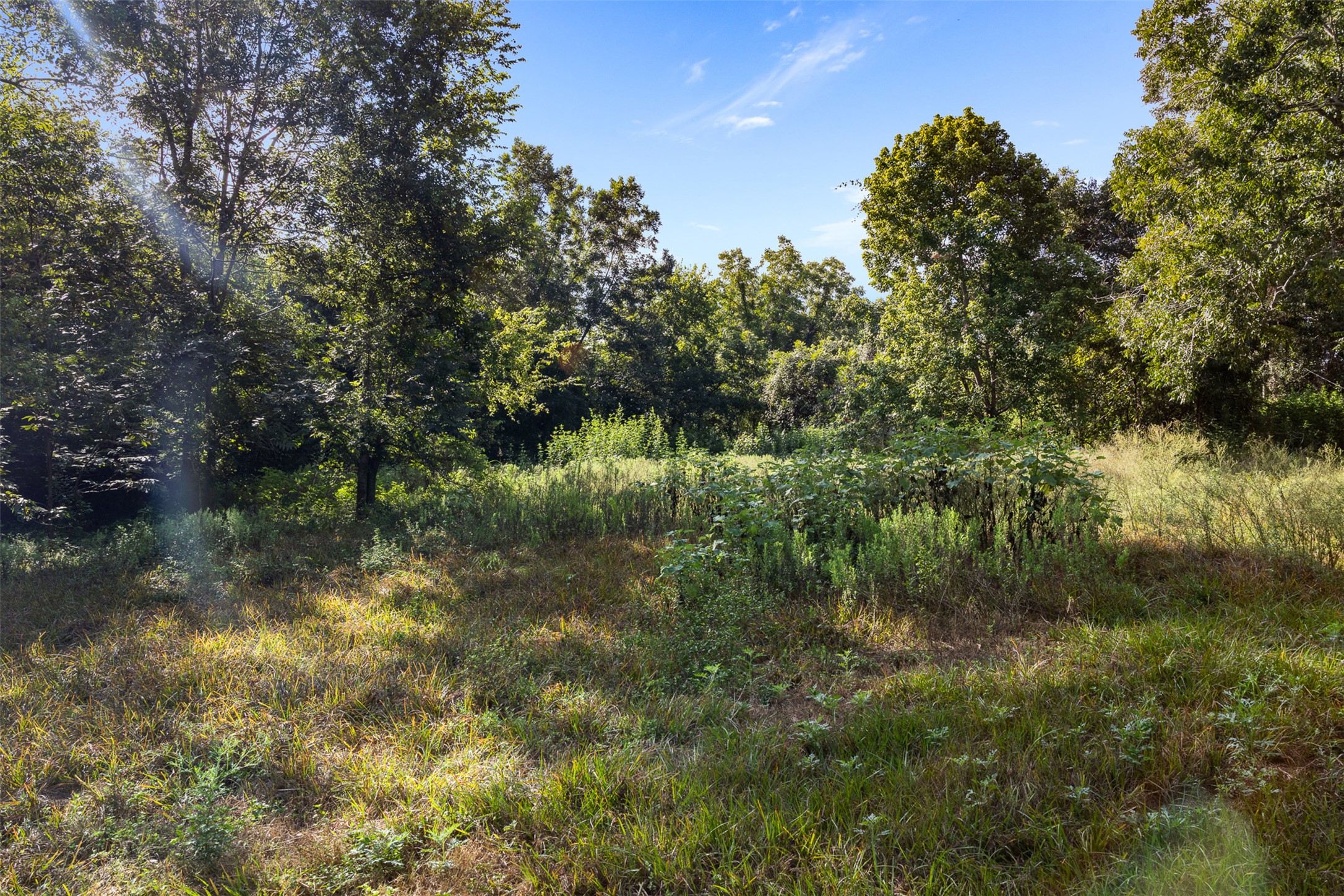 main property photo 14