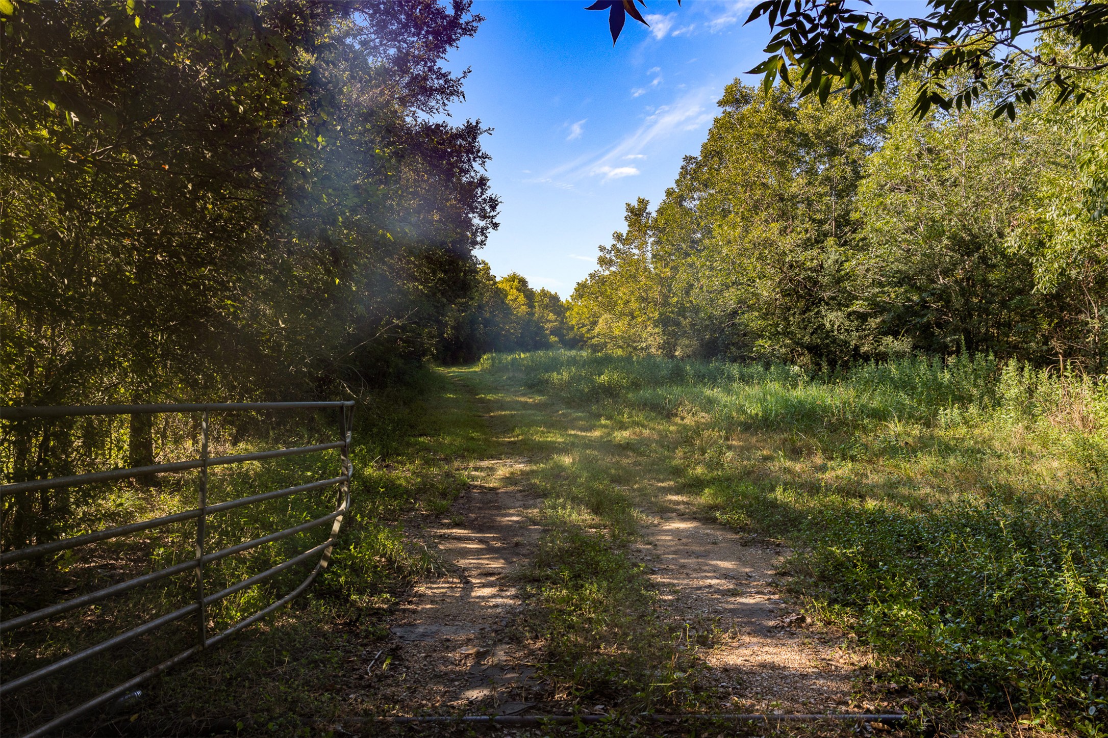 main property photo 18