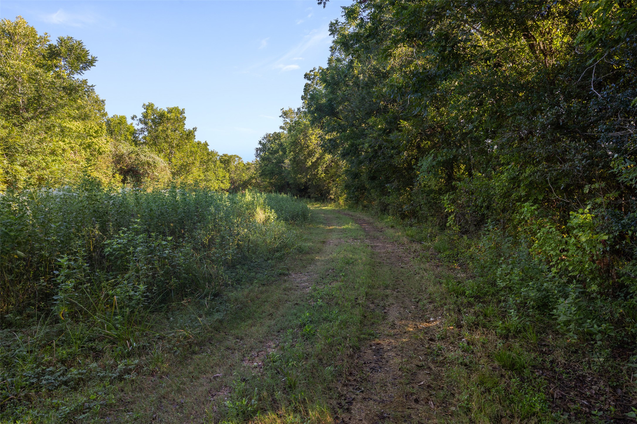 main property photo 19