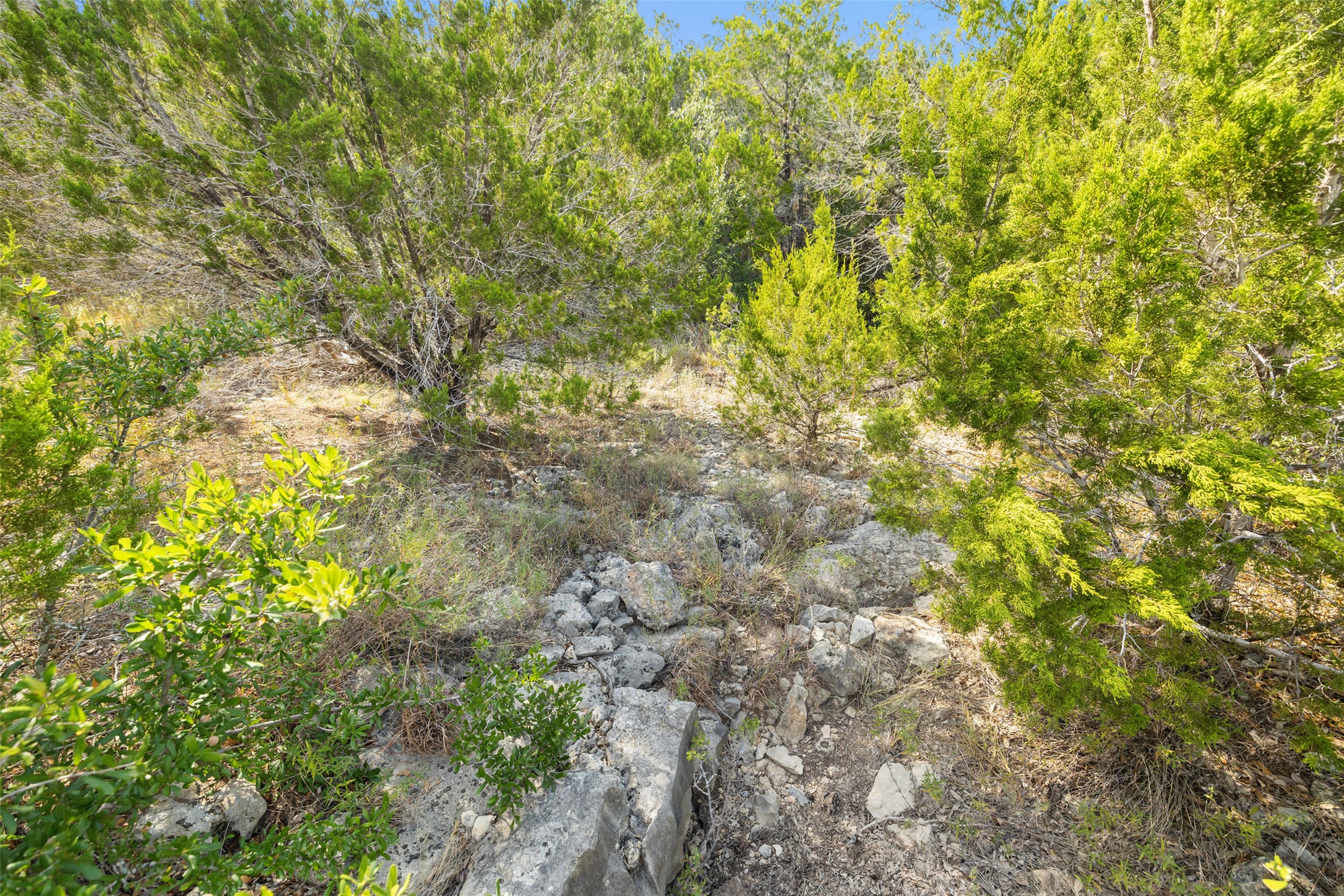 main property photo 24
