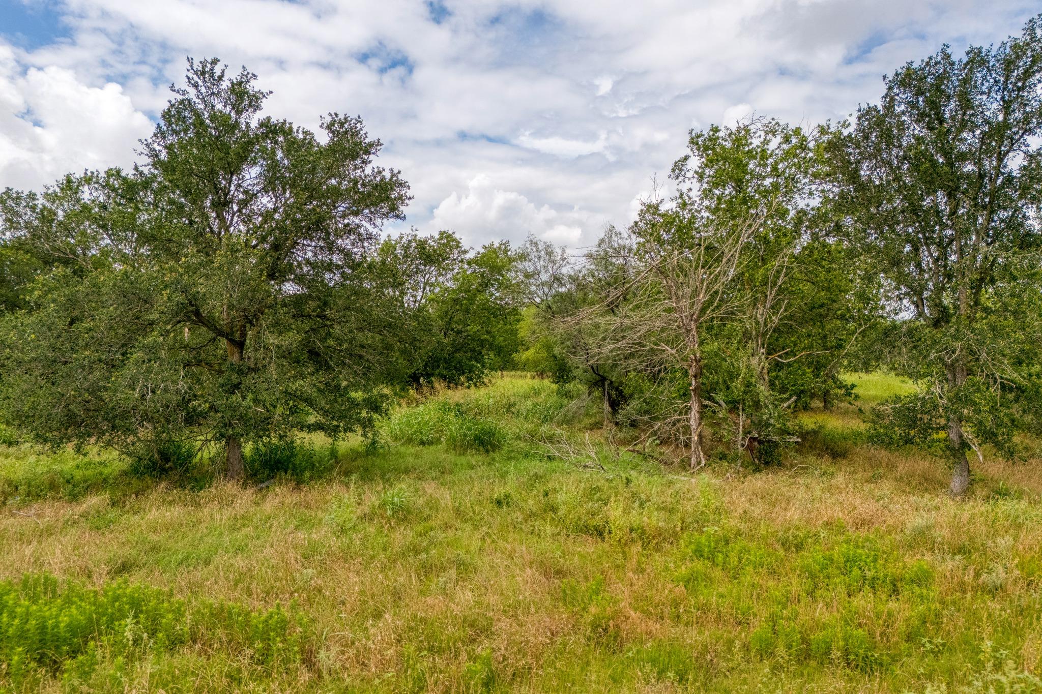 main property photo 12