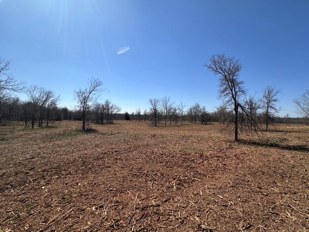 main property photo 15
