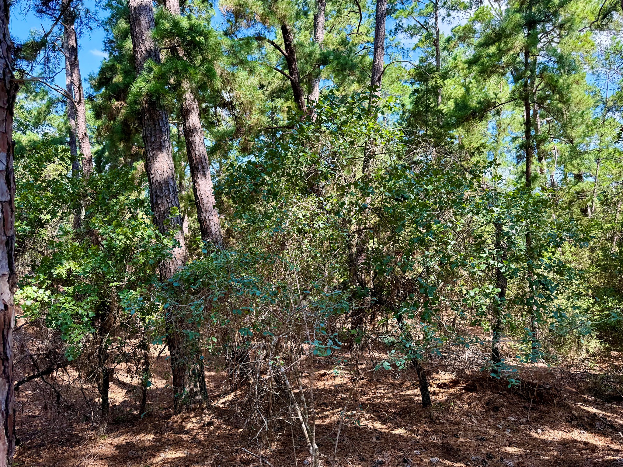 main property photo 10
