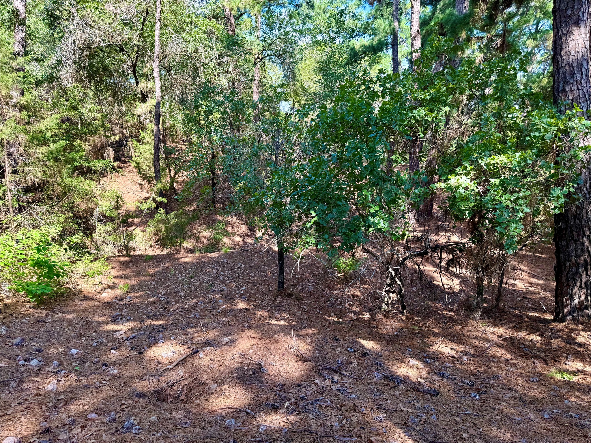 main property photo 11