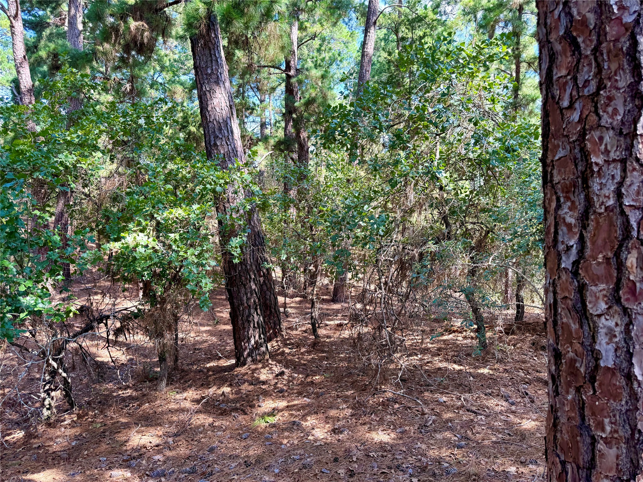 main property photo 12
