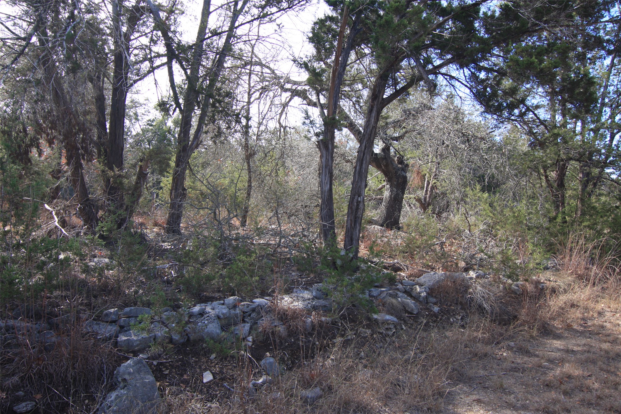main property photo 27