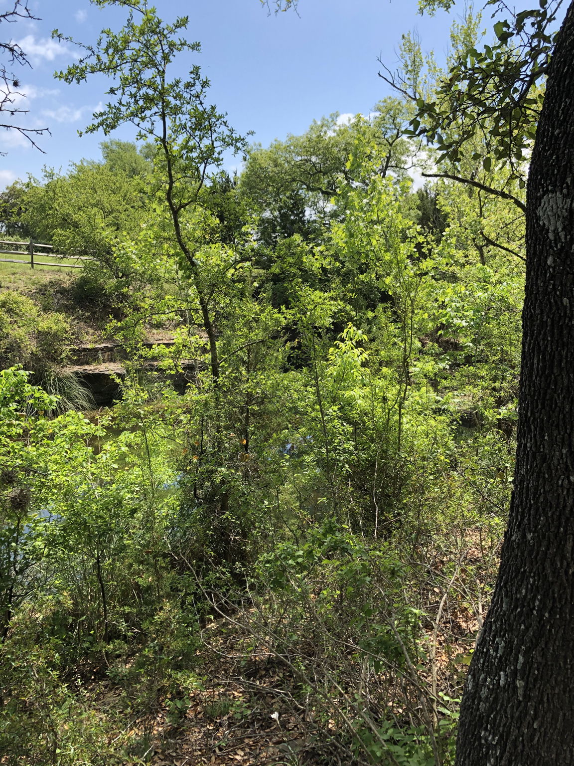 main property photo 10