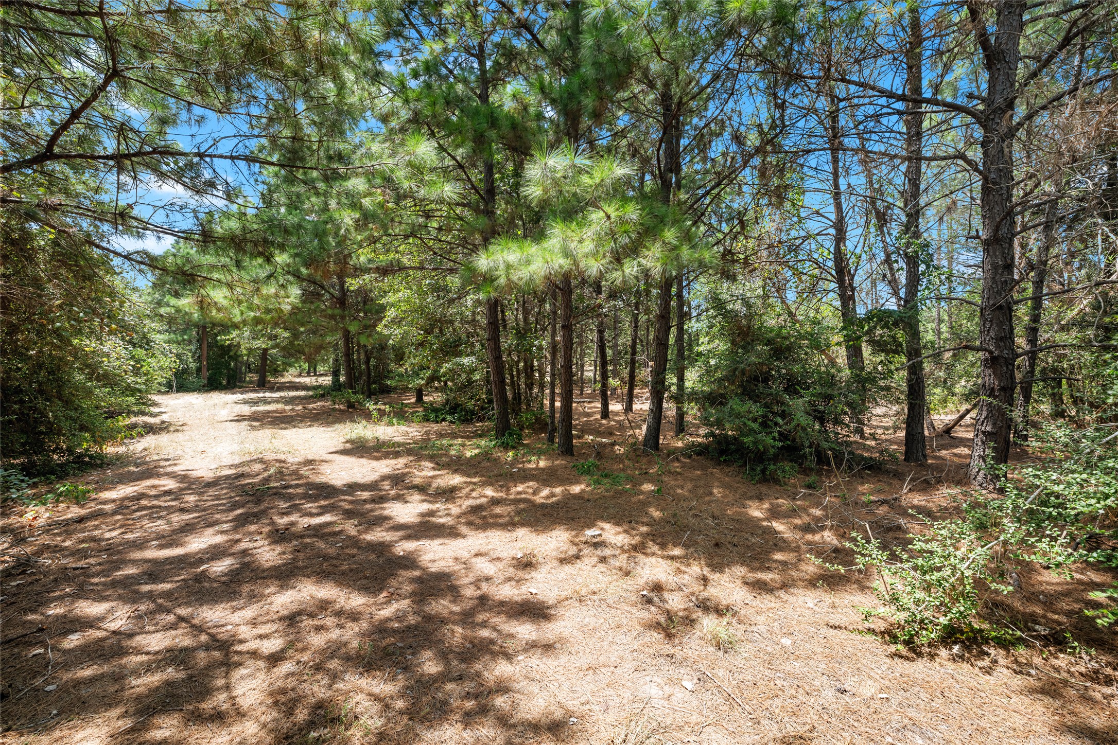 main property photo 19