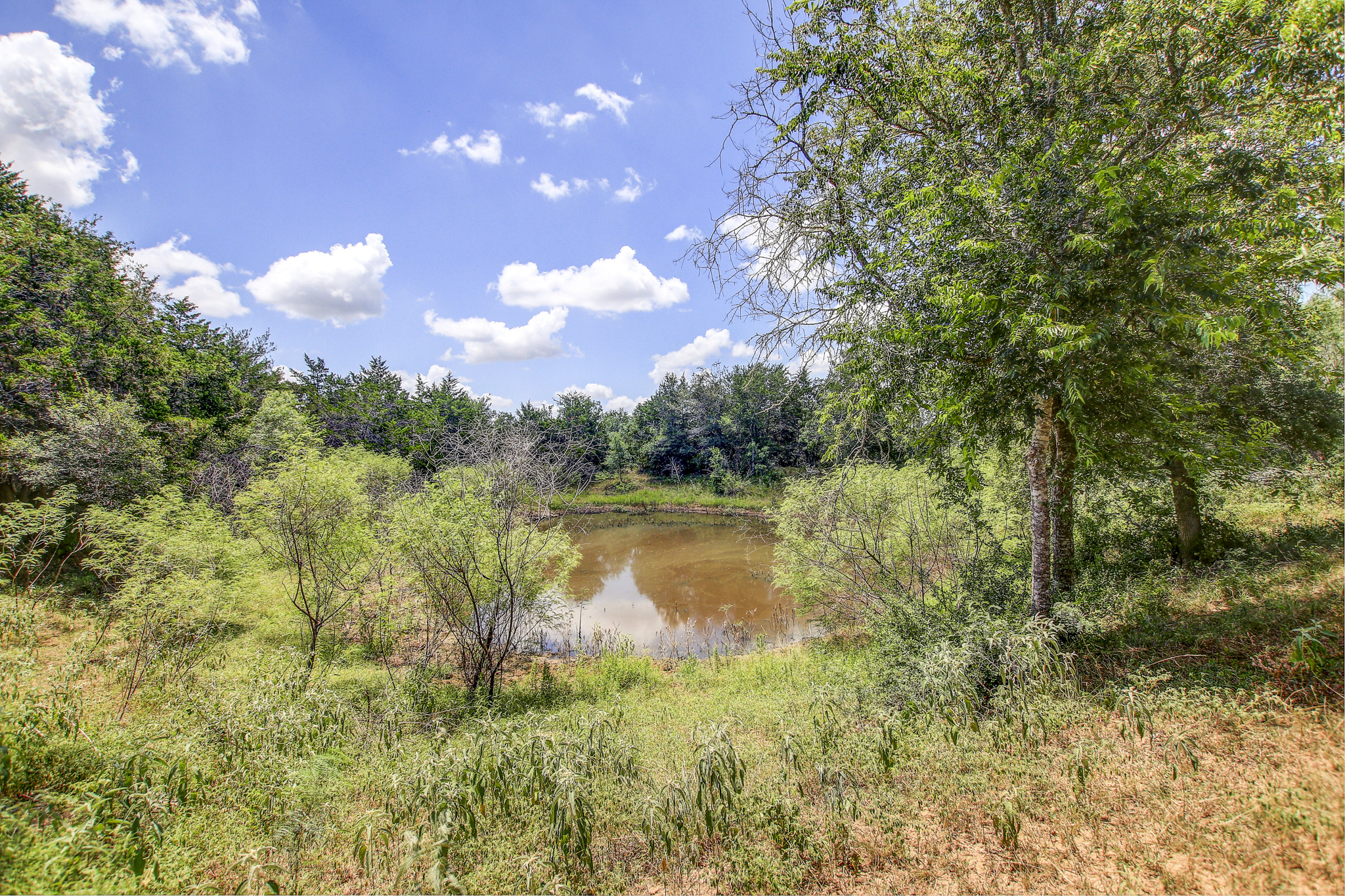 main property photo 10