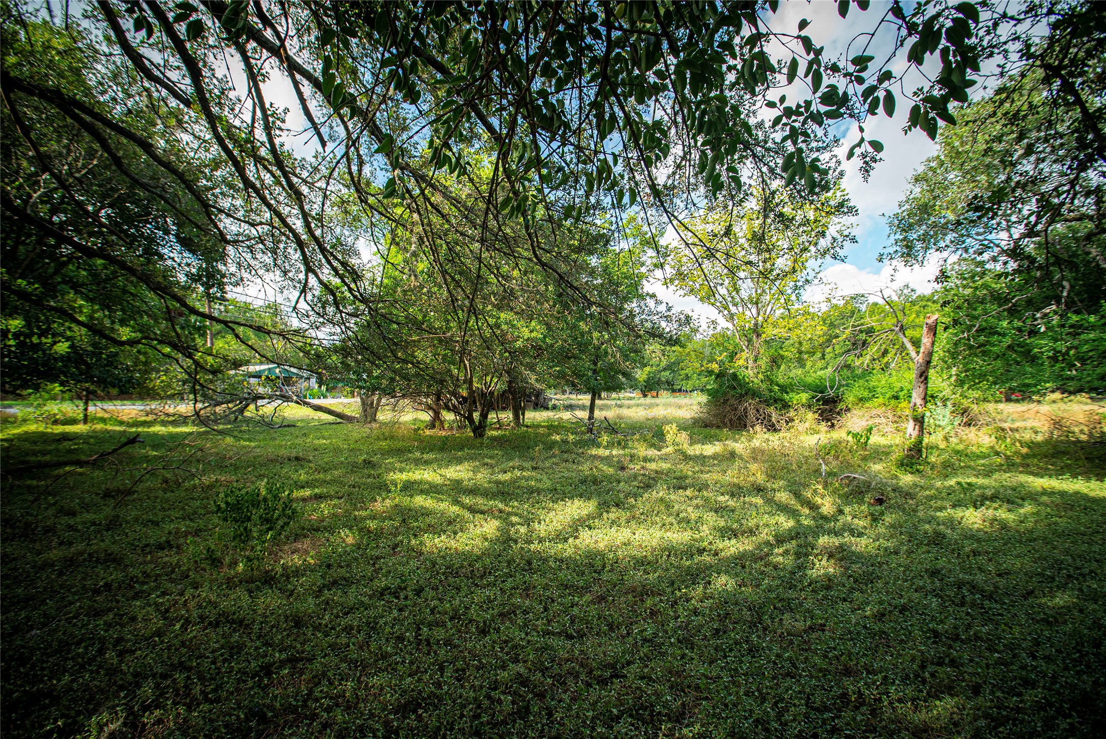main property photo 15