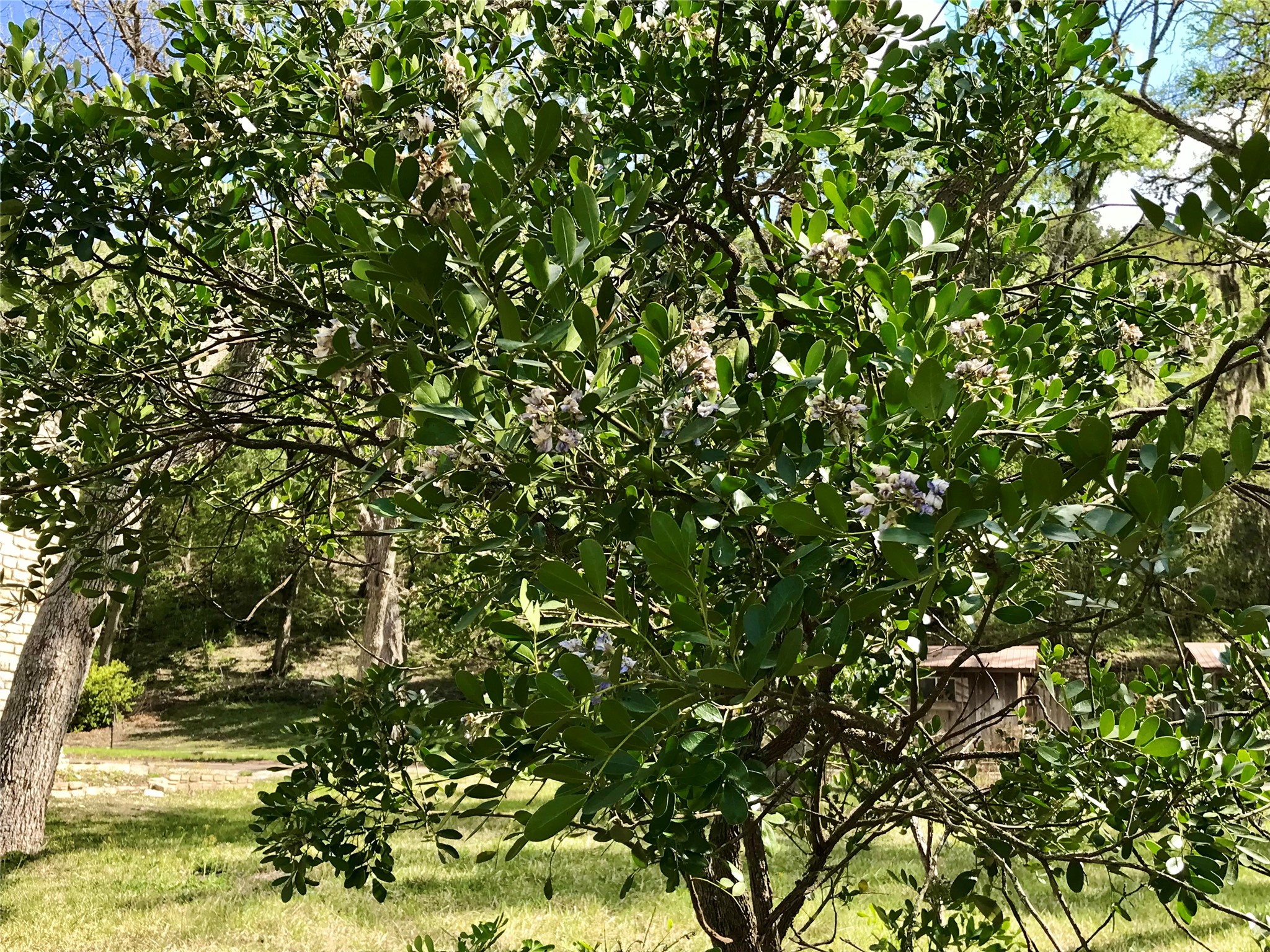 main property photo 10