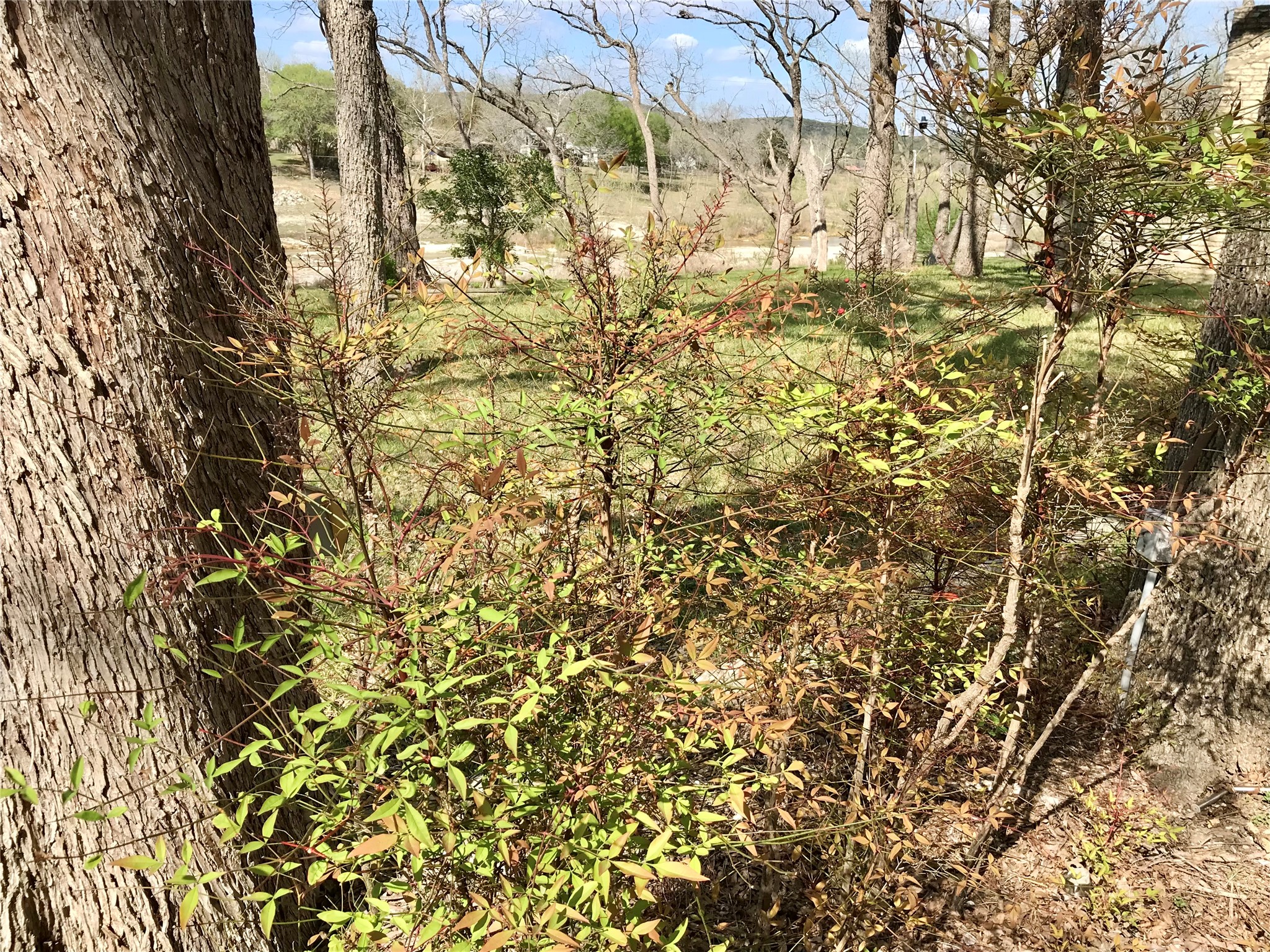 main property photo 31