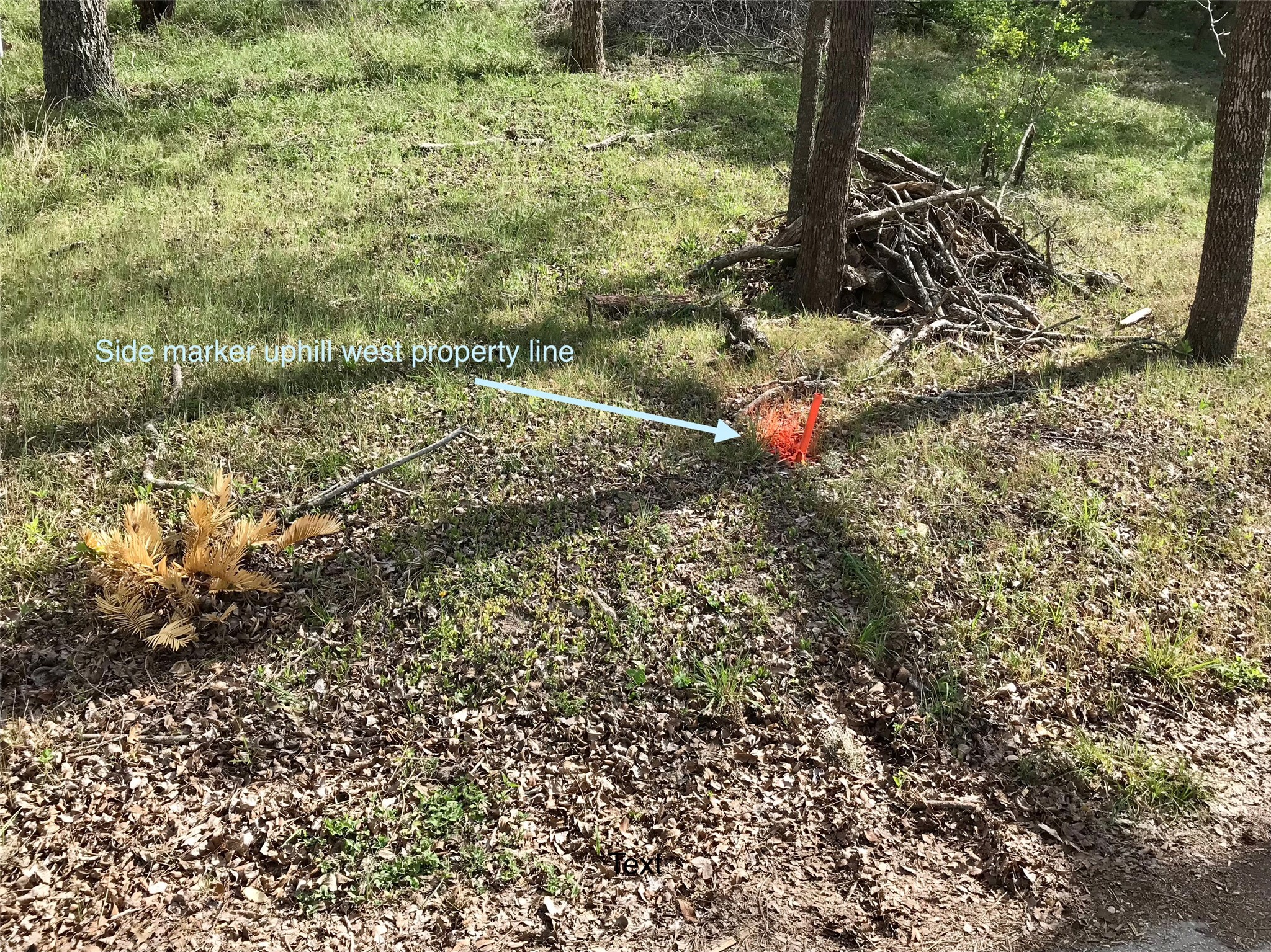 main property photo 34