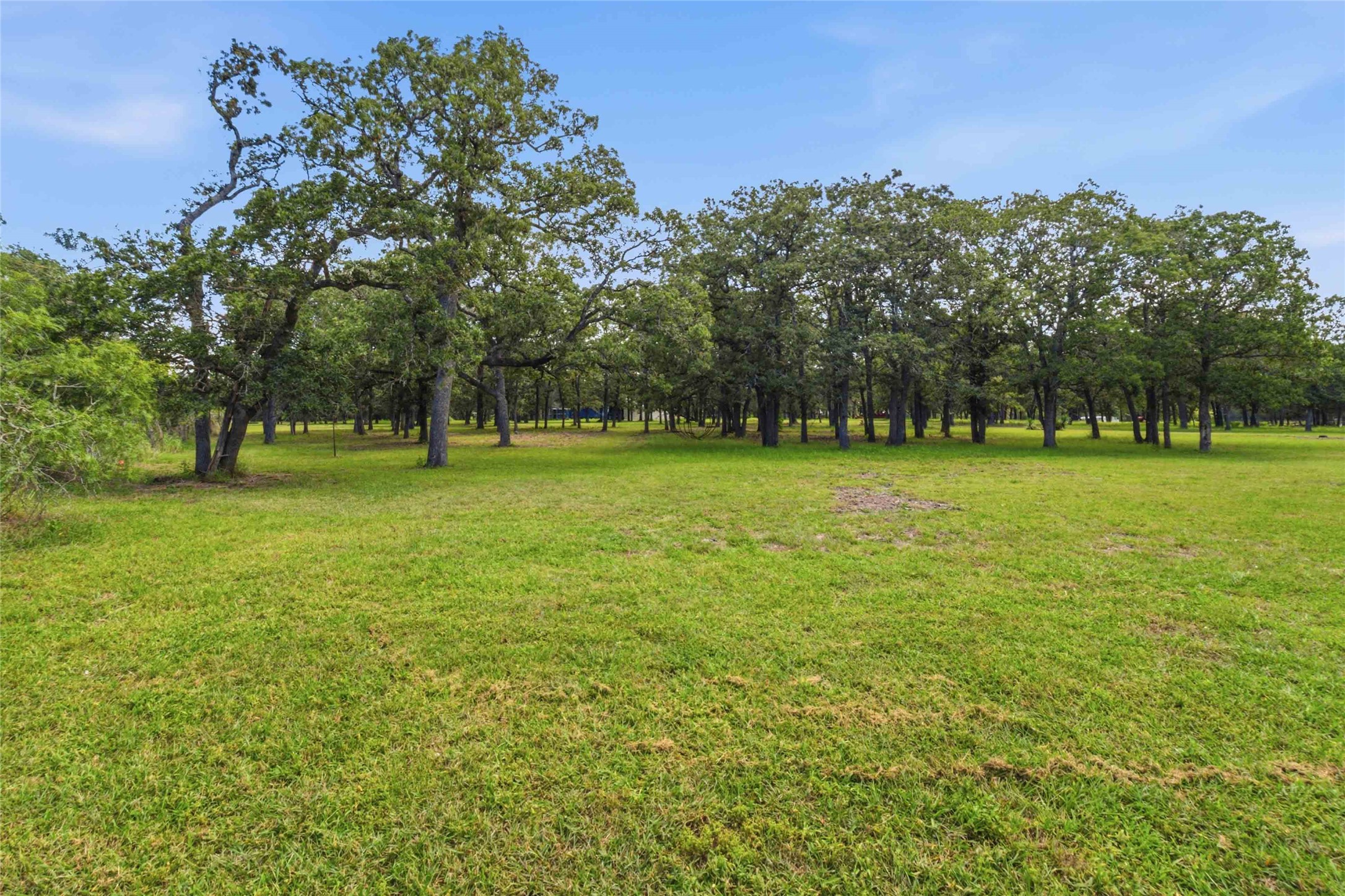 main property photo 37