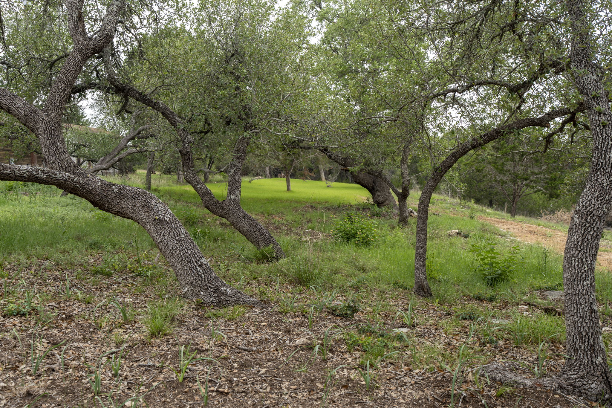 main property photo 33
