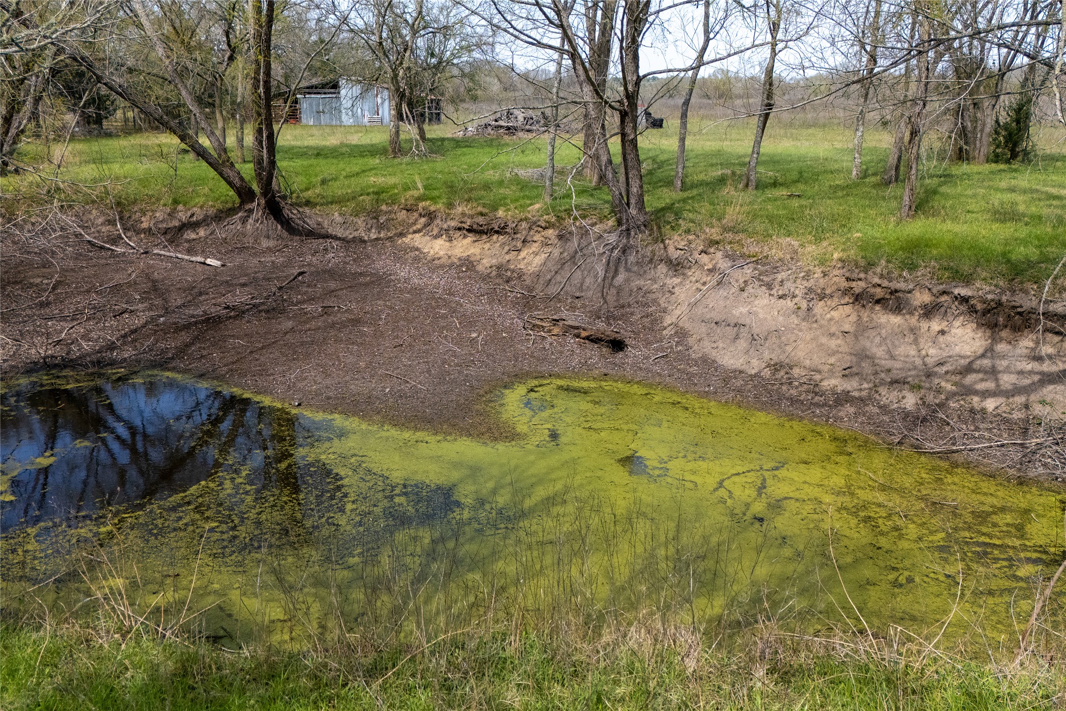 main property photo 33