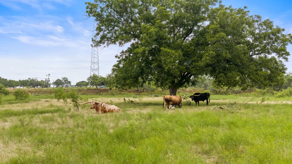 main property photo 19