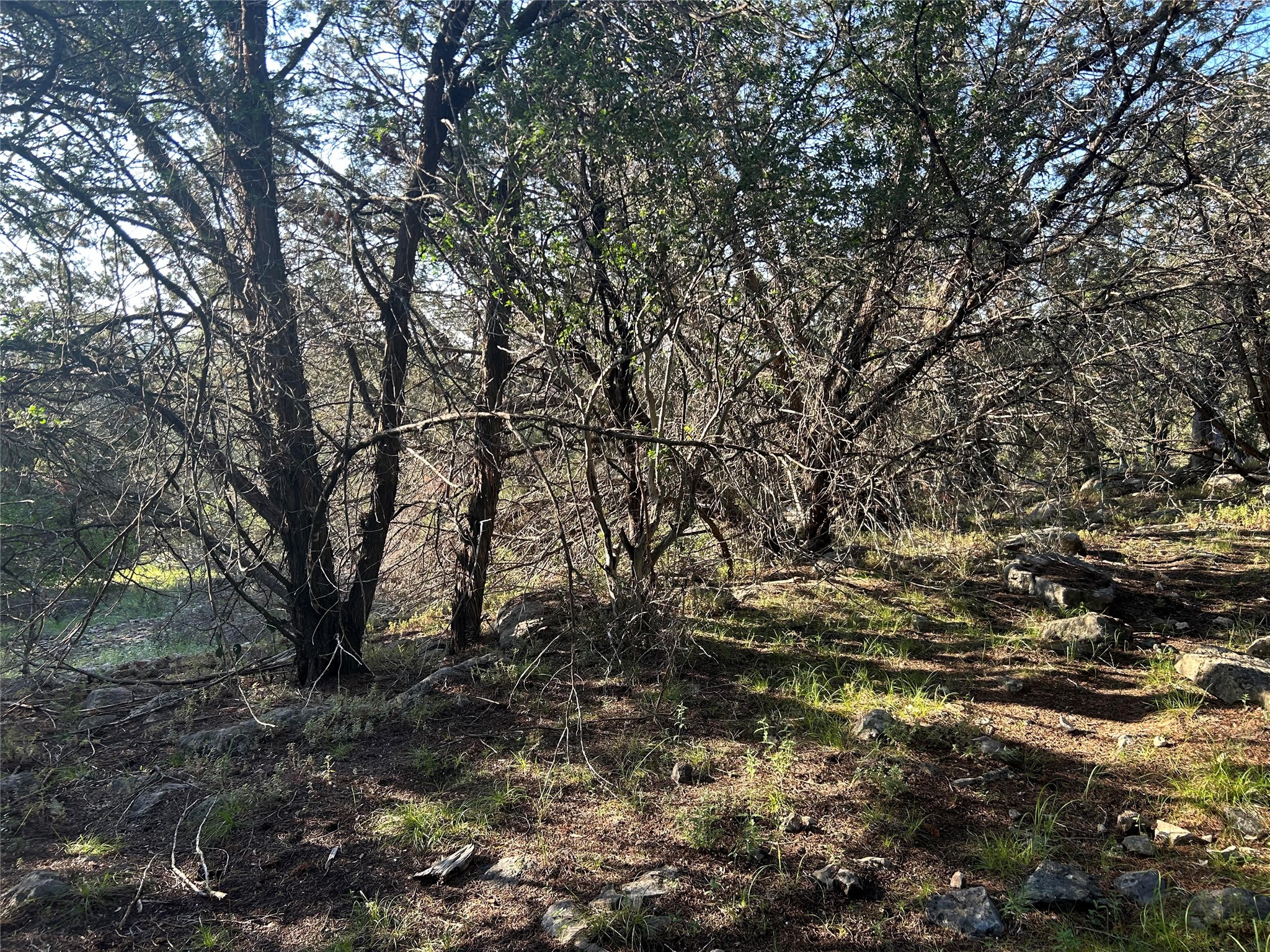 main property photo 10