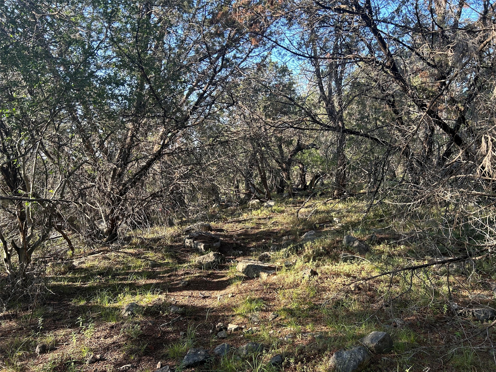 main property photo 11