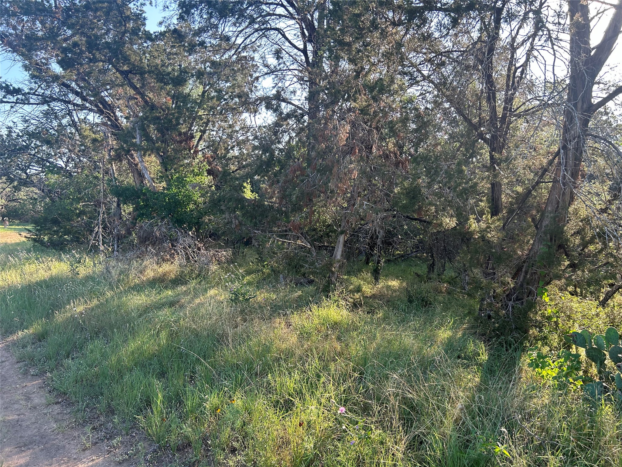 main property photo 6