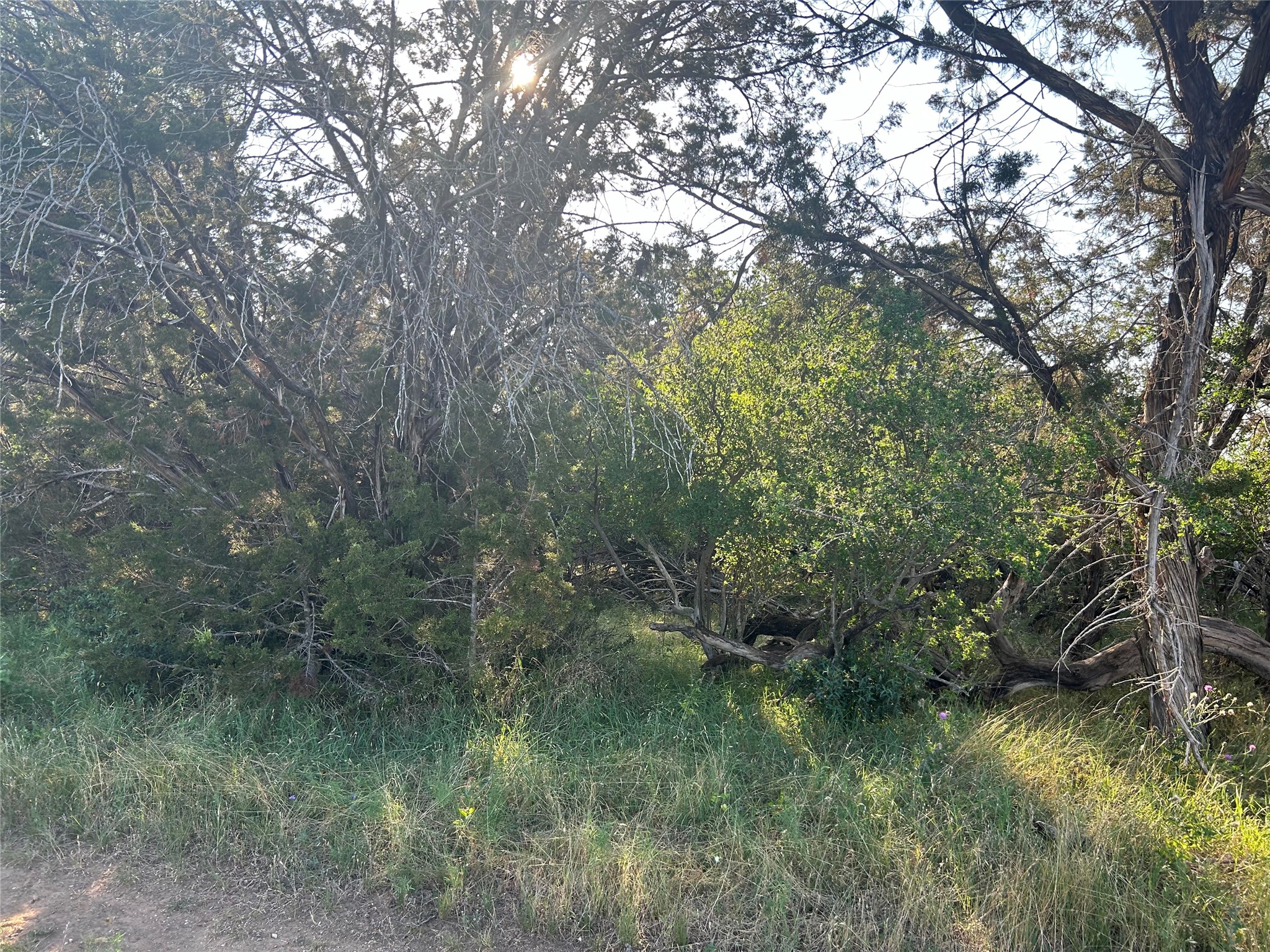 main property photo 7