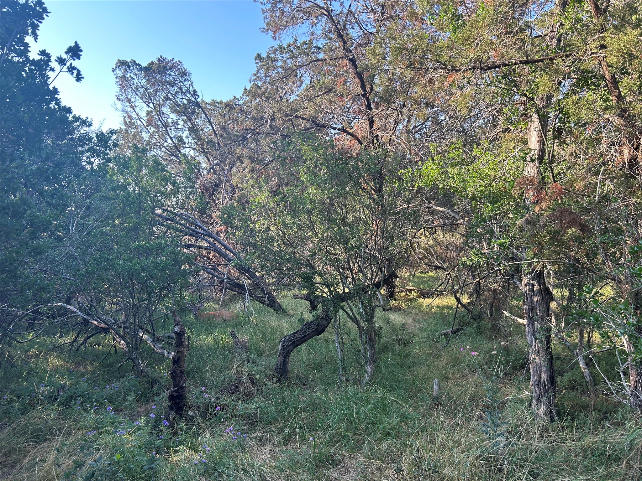 main property photo 9