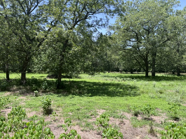 main property photo 10