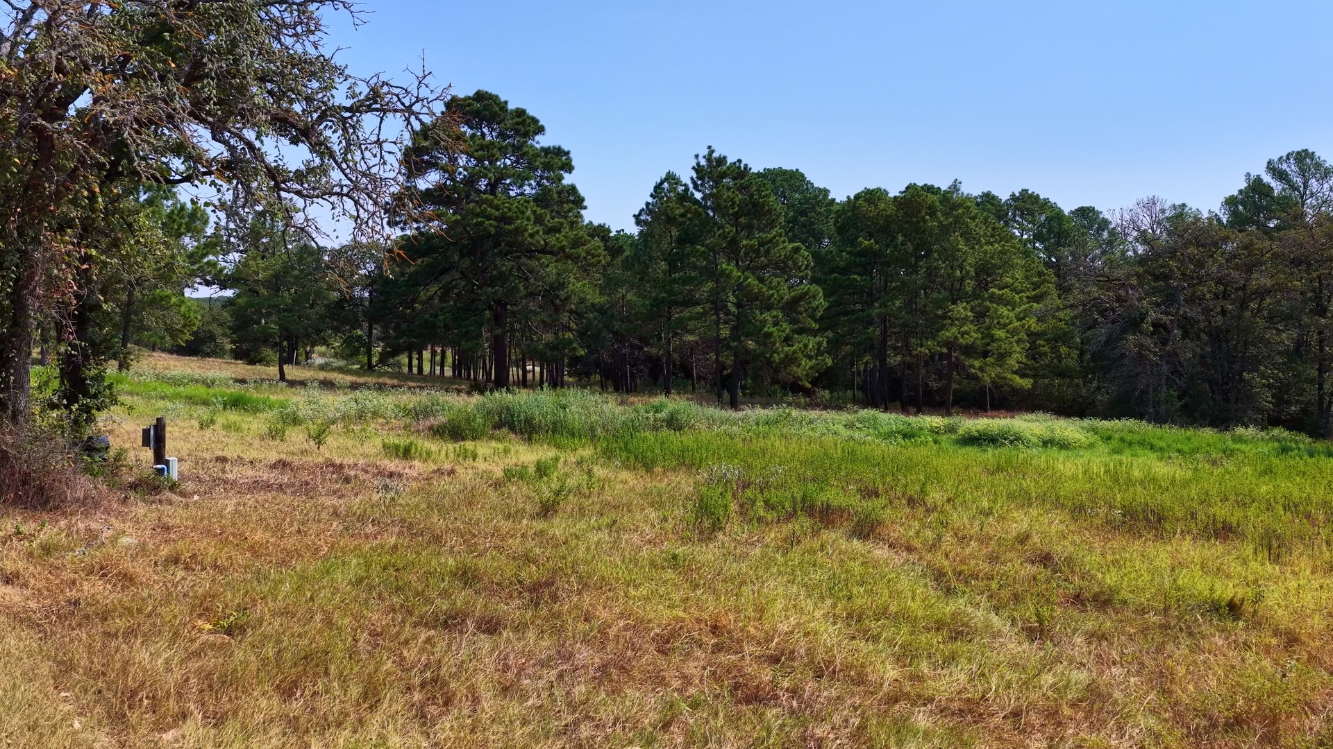main property photo 25