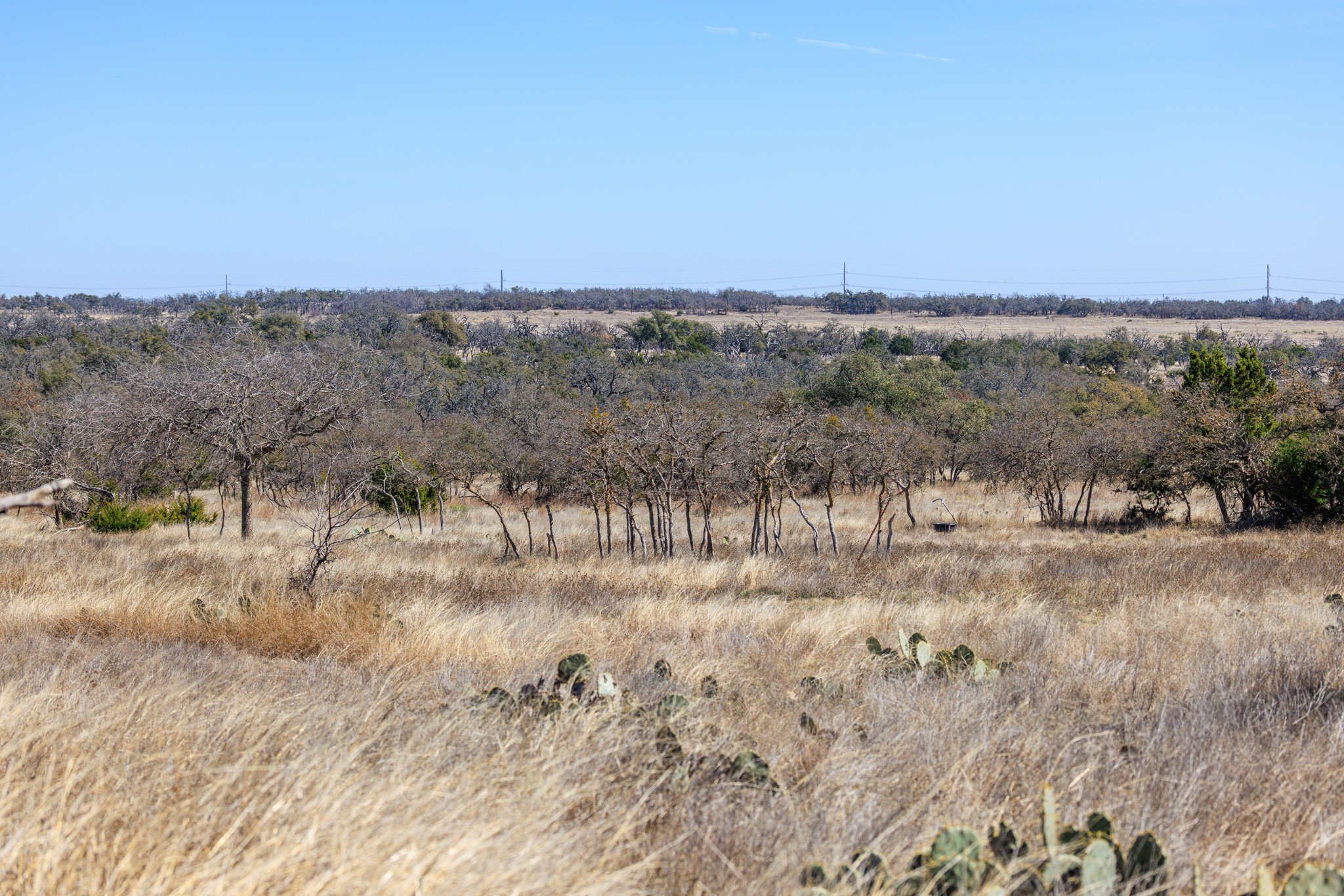 main property photo 39