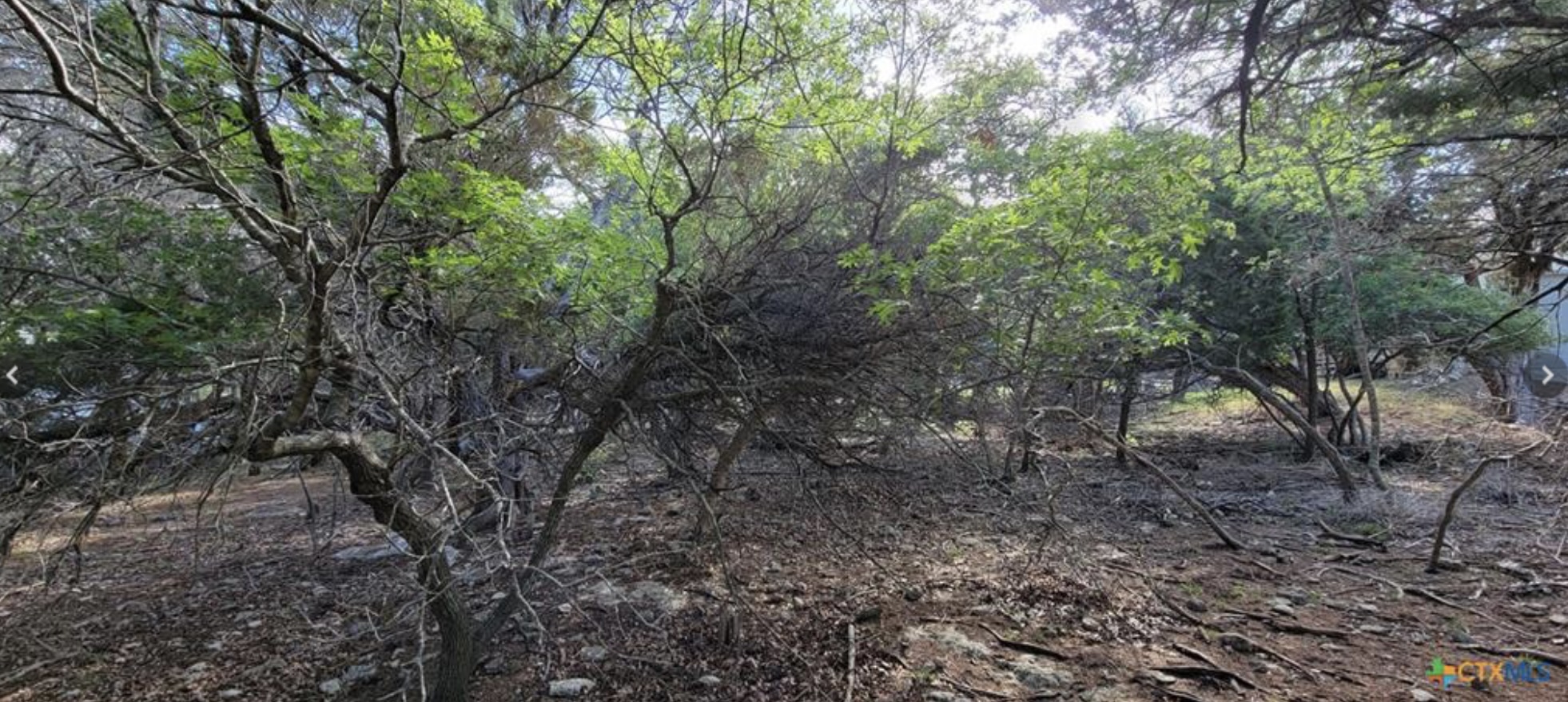 main property photo 10