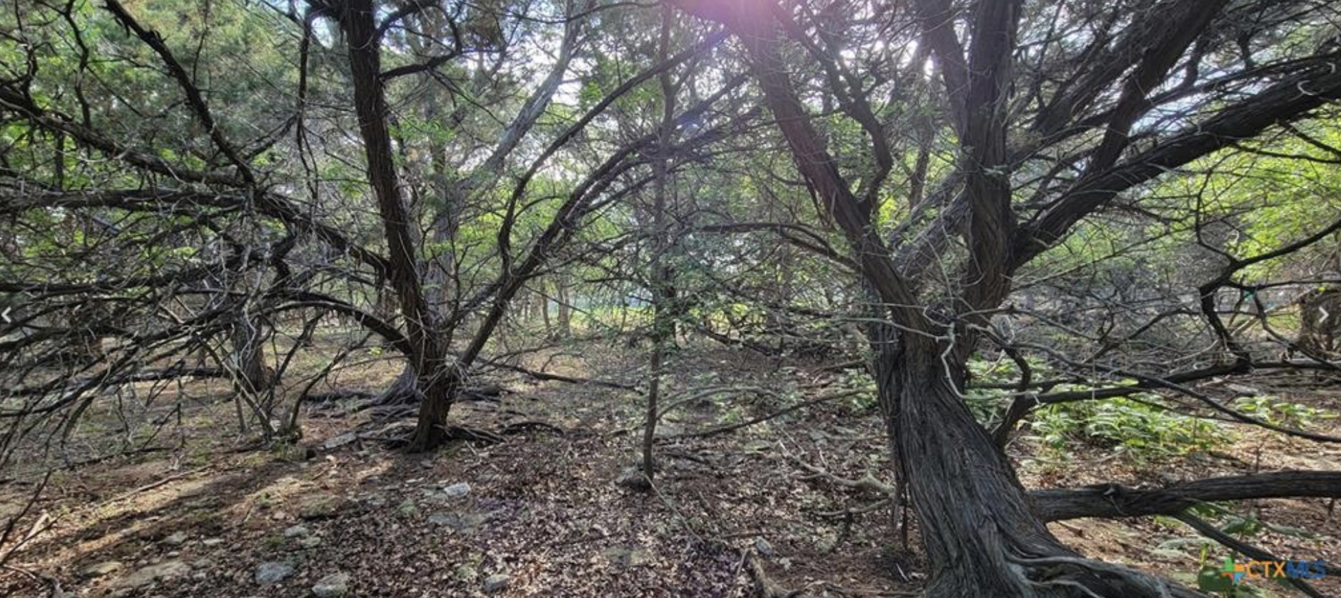 main property photo 11