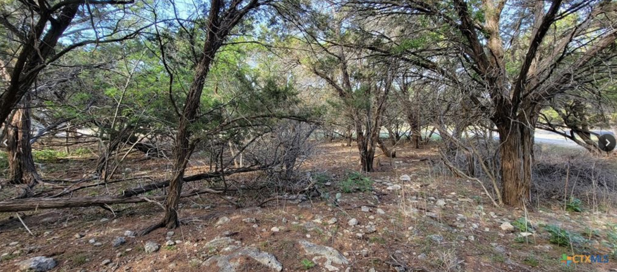 main property photo 17