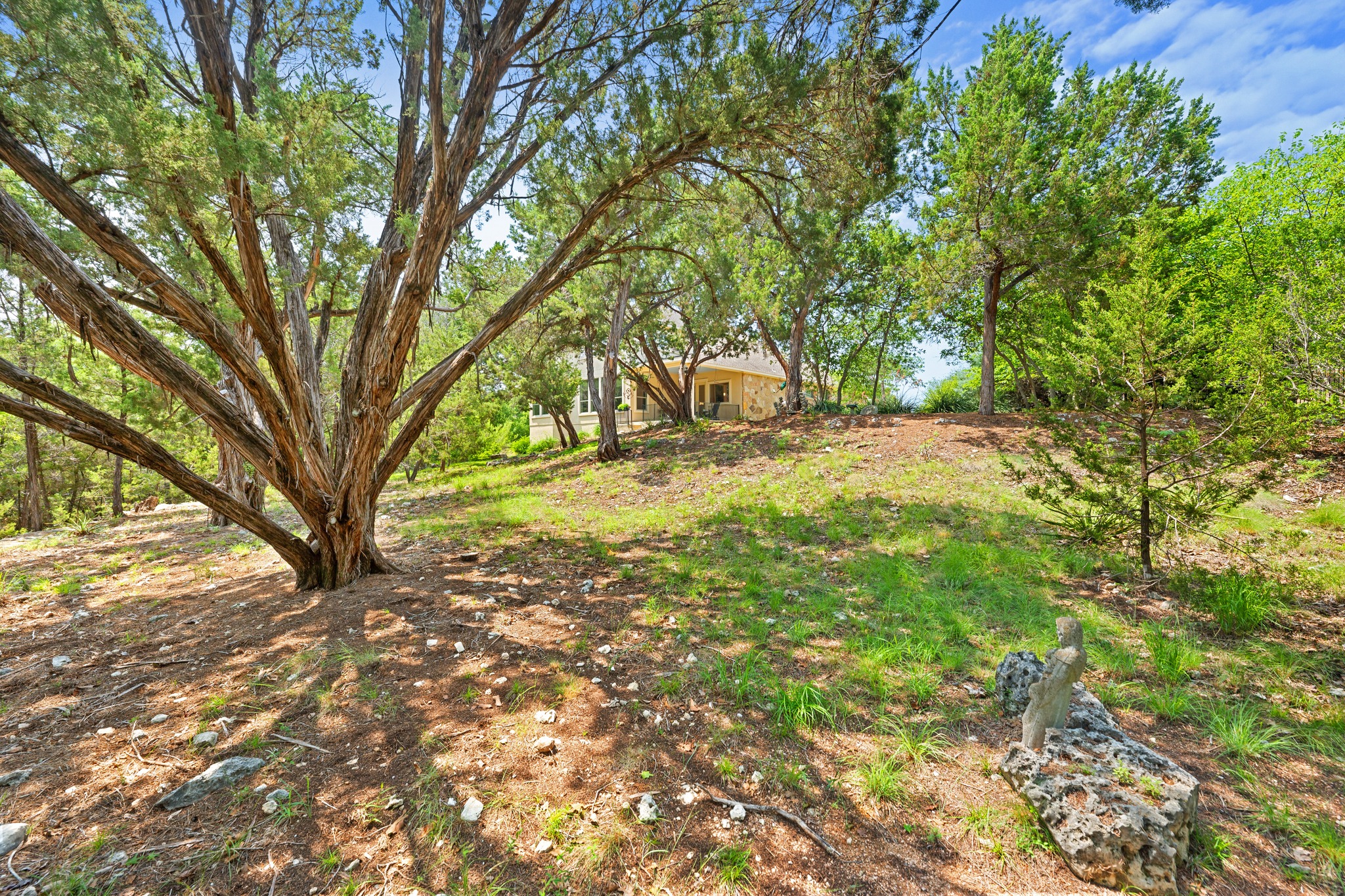 main property photo 30
