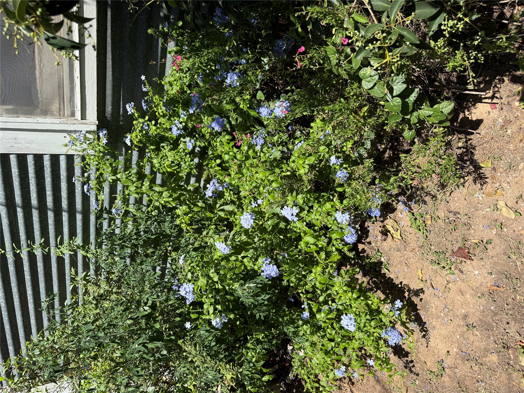 main property photo 18