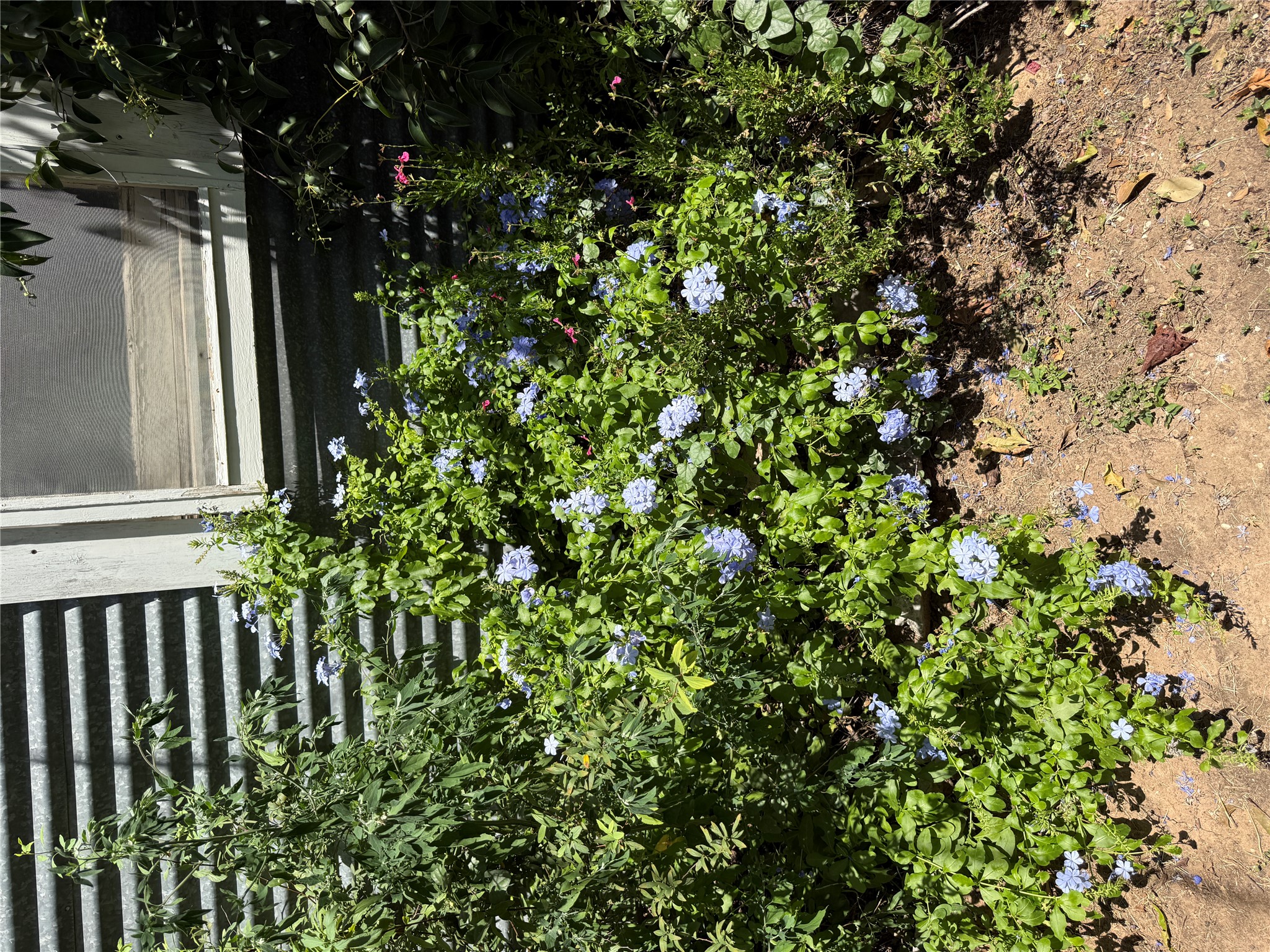 main property photo 19