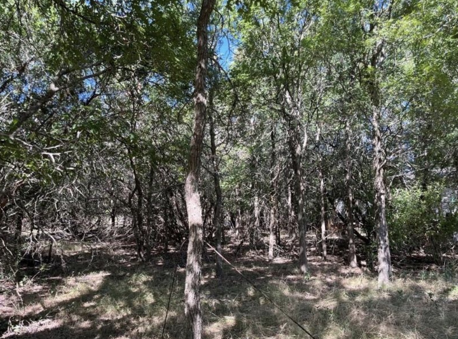 main property photo 6