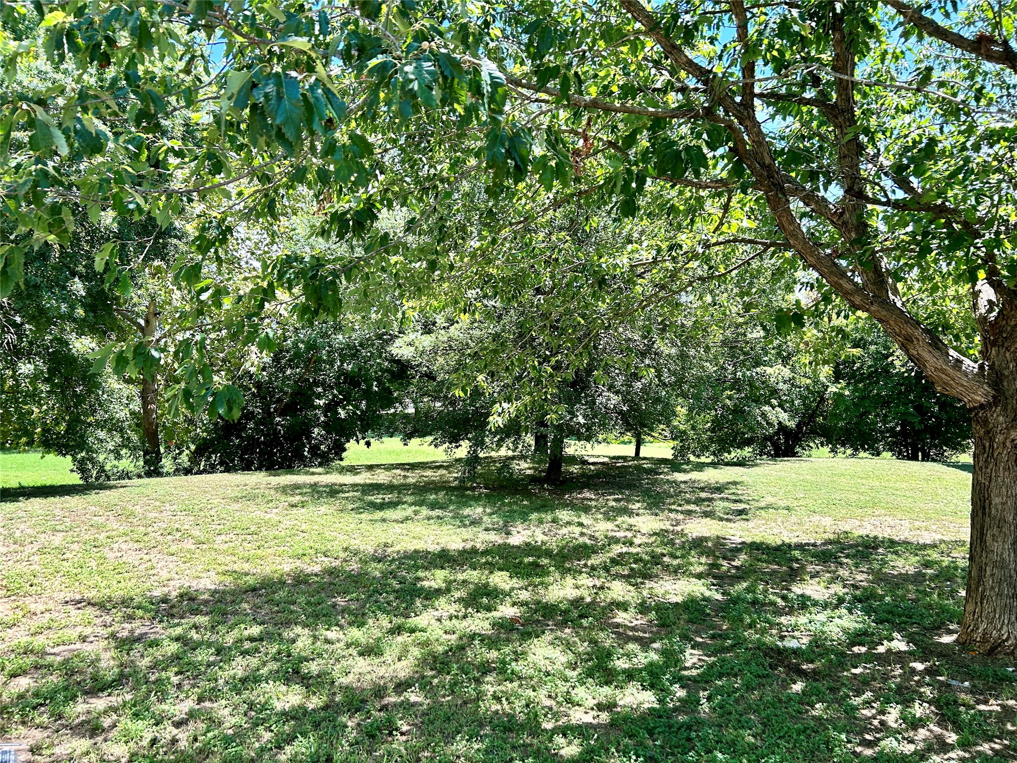 main property photo 11
