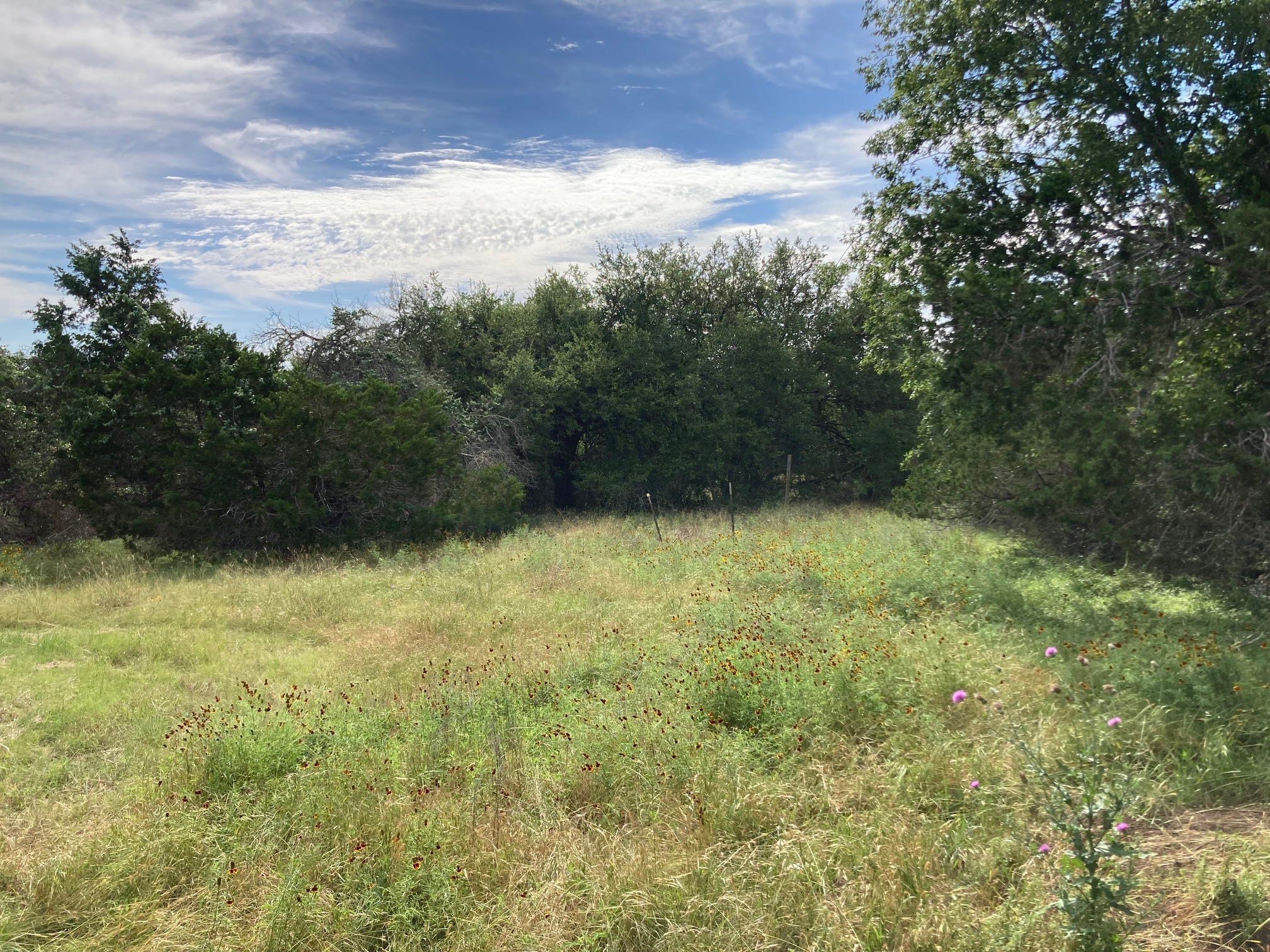 main property photo 23