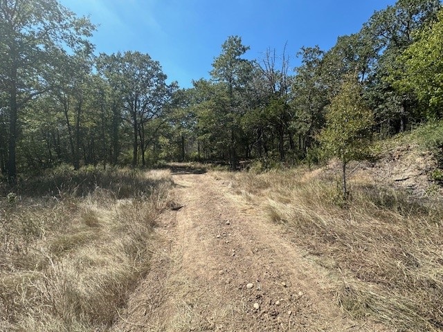 main property photo 6