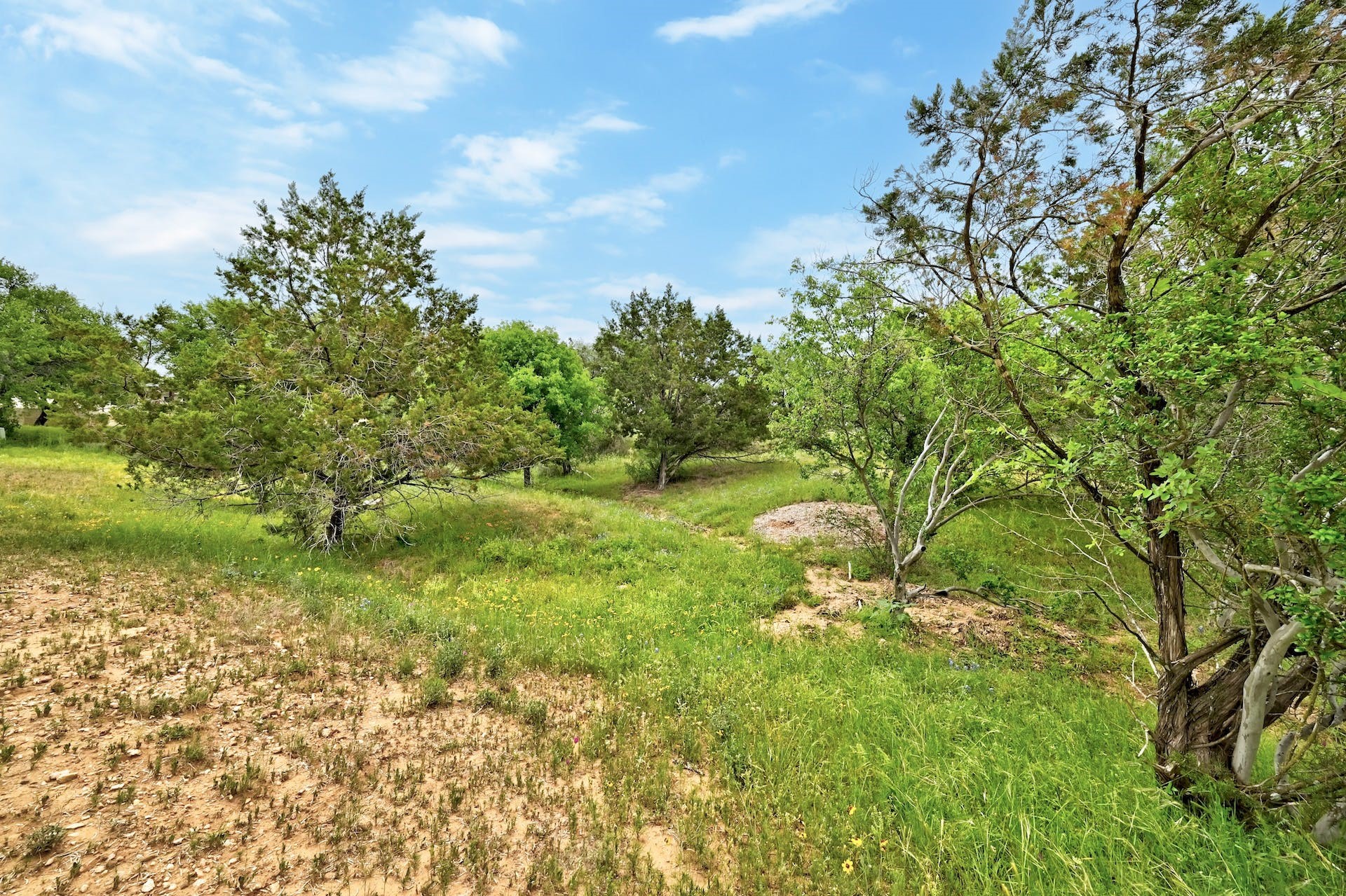 main property photo 8