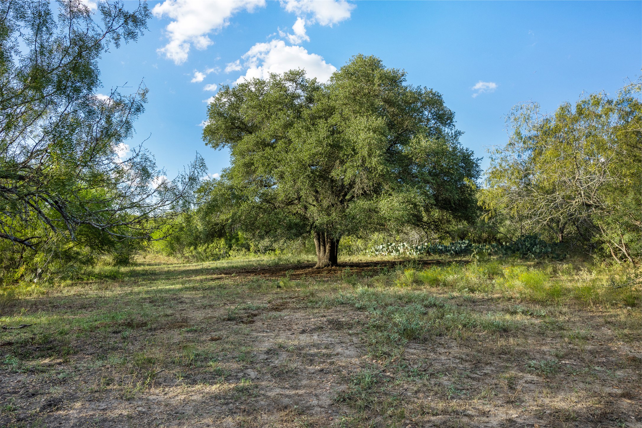 main property photo 11